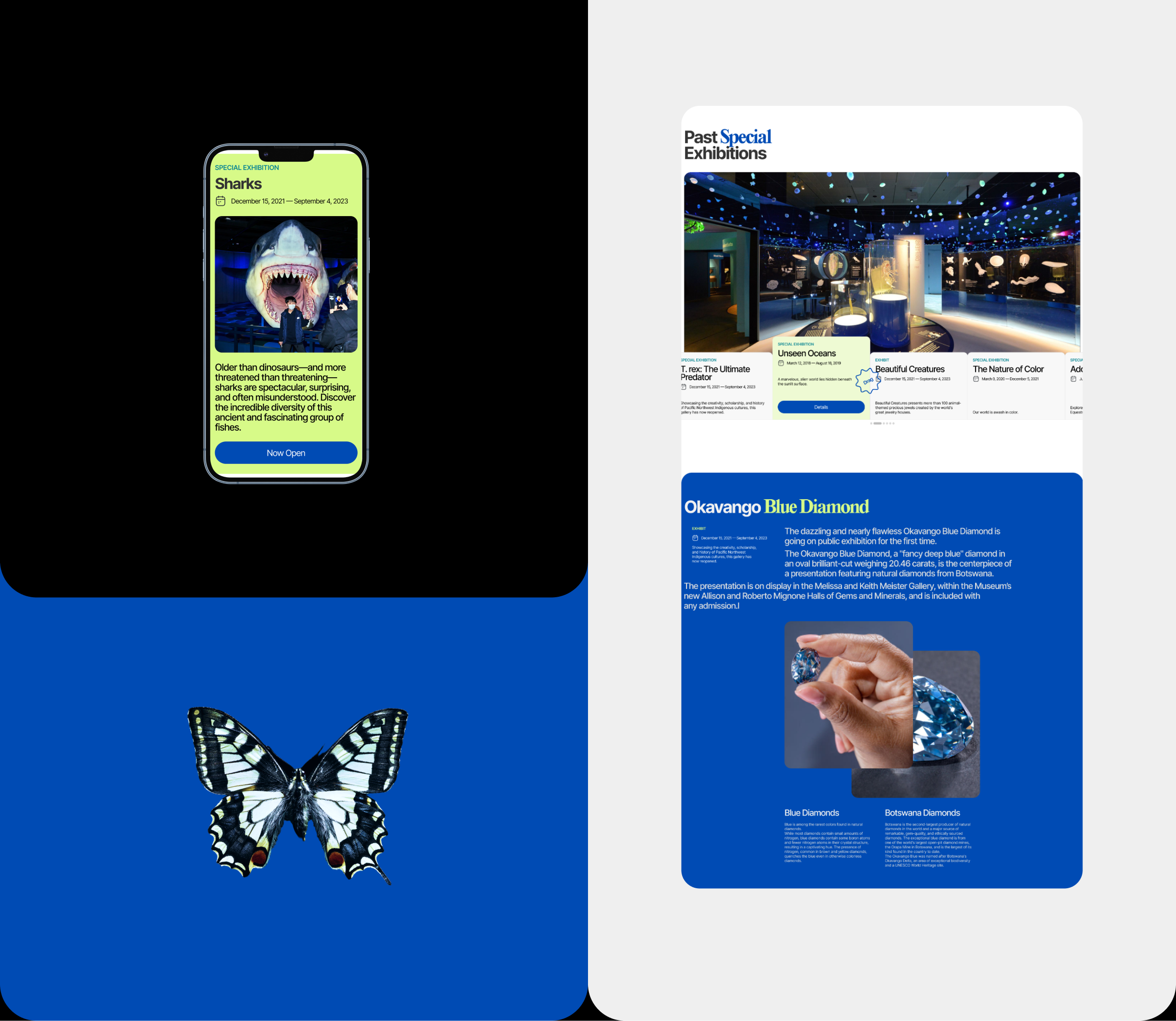 The American Museum of Natural History — Изображение №5 — Интерфейсы на Dprofile