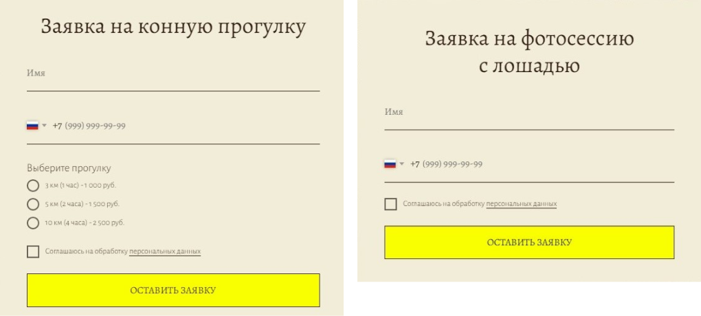 Лендинг конных прогулок — Изображение №3 — Интерфейсы на Dprofile