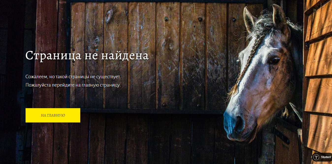 Лендинг конных прогулок — Изображение №5 — Интерфейсы на Dprofile