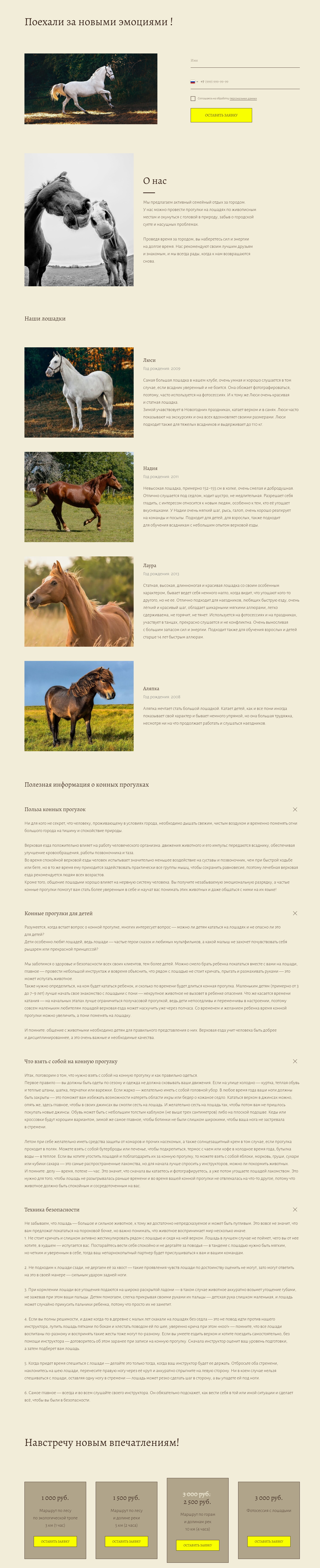 Лендинг конных прогулок — Изображение №2 — Интерфейсы на Dprofile