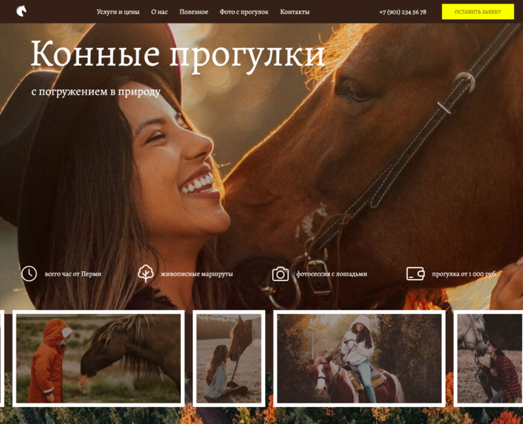 Лендинг конных прогулок на Dprofile