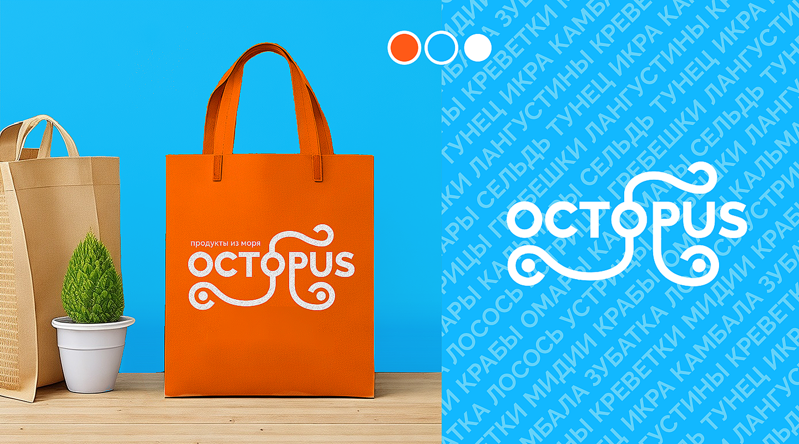 Логотип сети магазинов морепродуктов Octopus — Изображение №7 — Брендинг на Dprofile