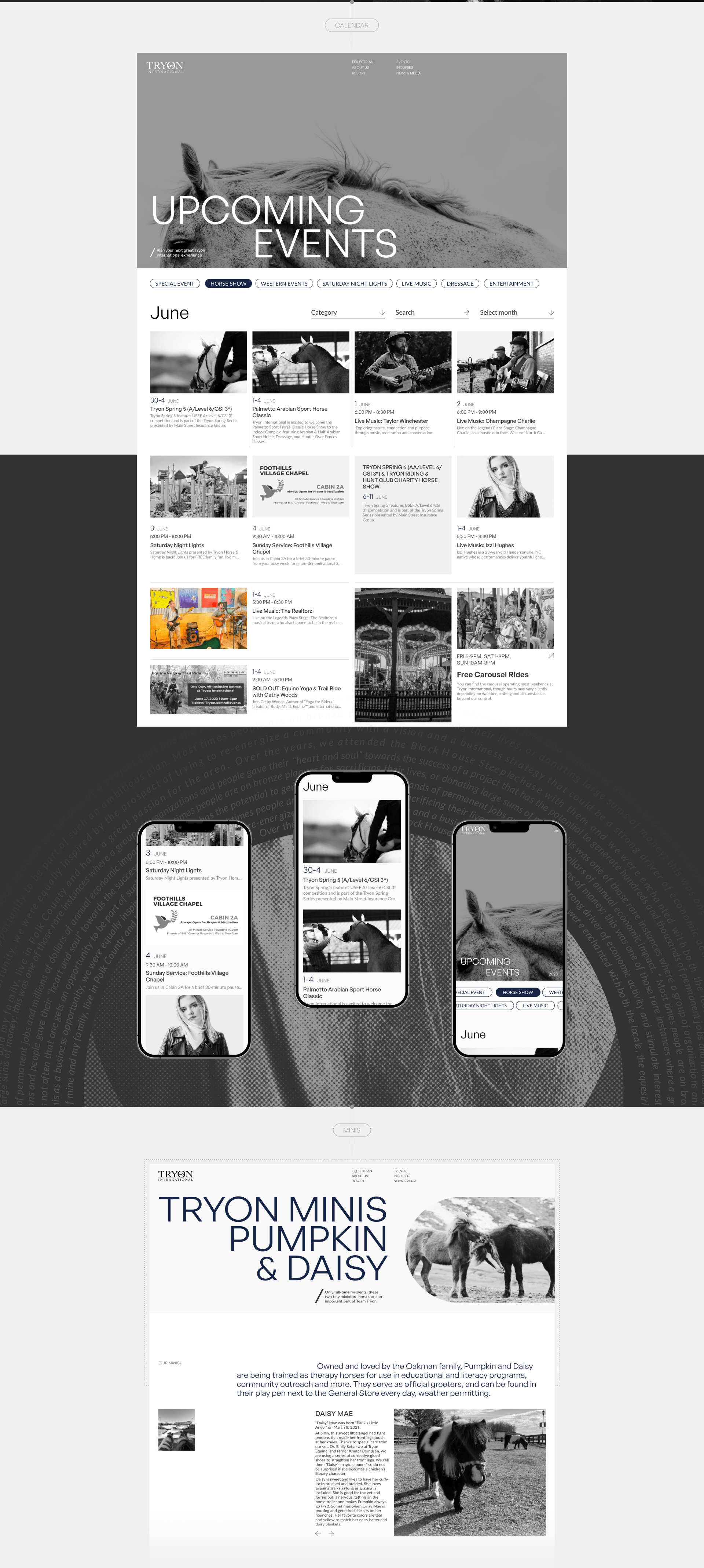 TRYON INTERNATIONAL | Corporate website — Изображение №10 — Интерфейсы на Dprofile