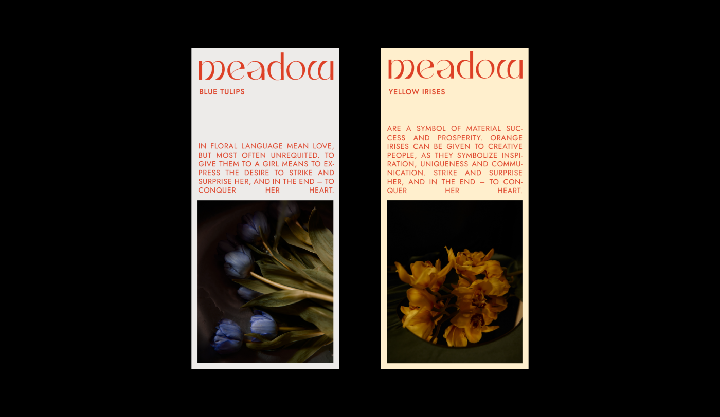 MEADOW | FLOWER STUDIO — Изображение №8 — Брендинг, Маркетинг на Dprofile