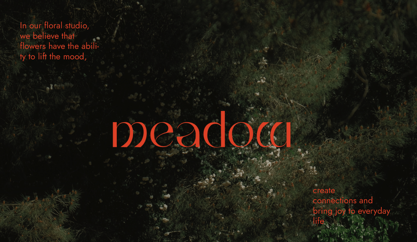 MEADOW | FLOWER STUDIO — Изображение №1 — Брендинг, Маркетинг на Dprofile