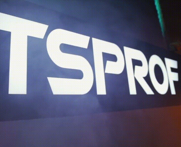 TSPROF | Brand identity — Брендинг на Dprofile