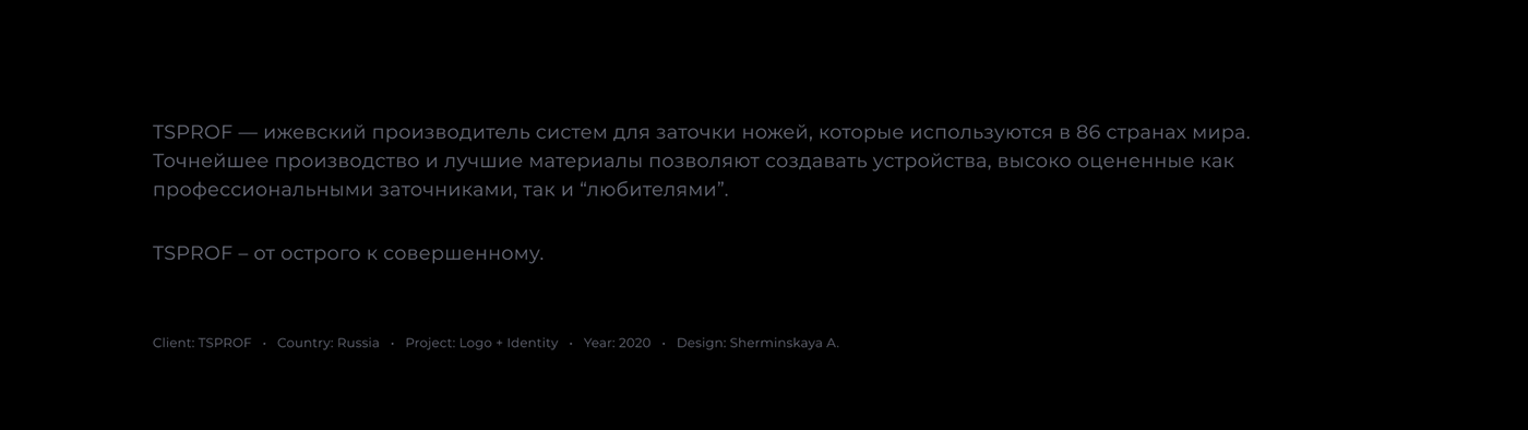 TSPROF | Brand identity — Изображение №2 — Брендинг на Dprofile