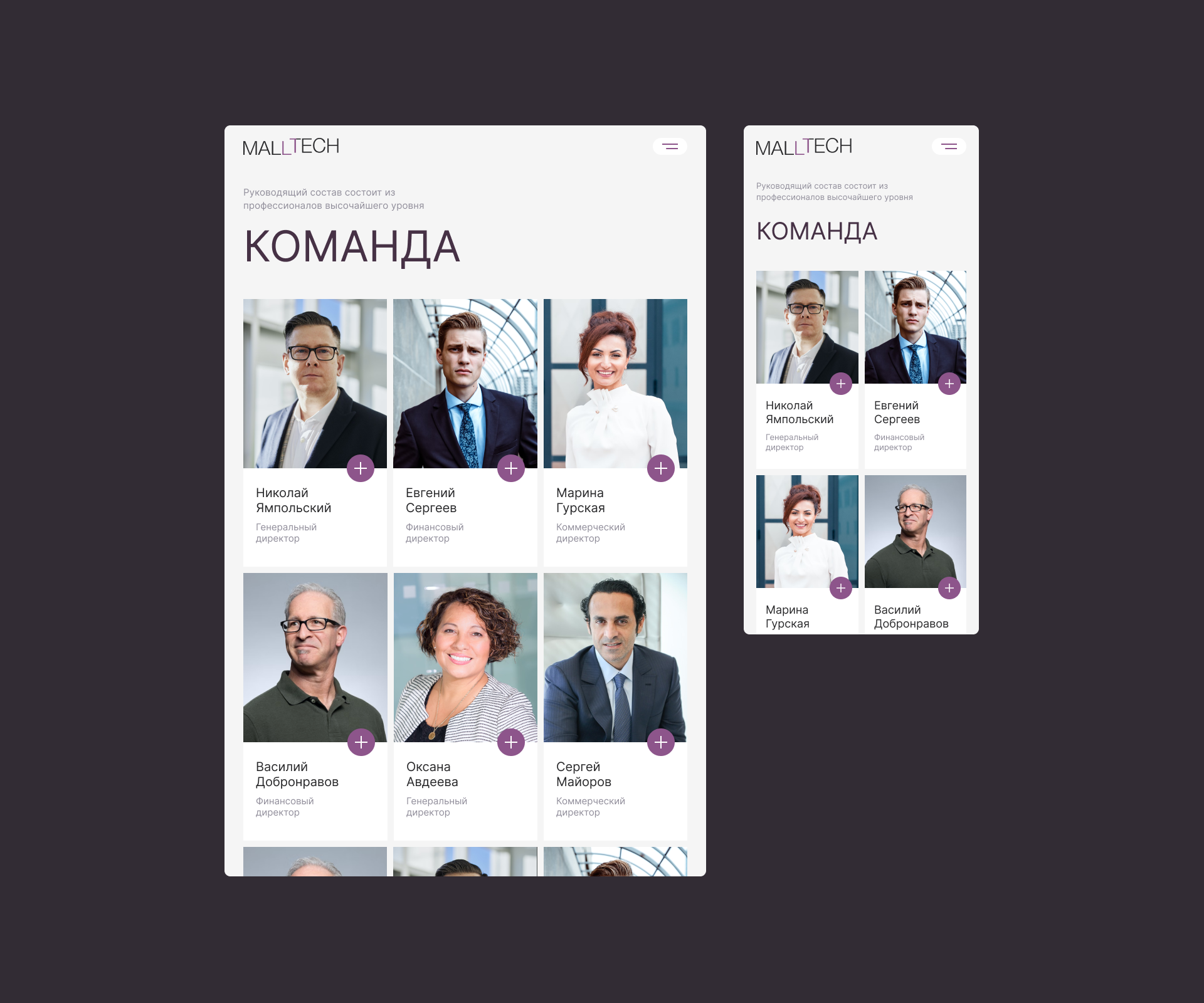 MALLTECH — Изображение №5 — Интерфейсы на Dprofile