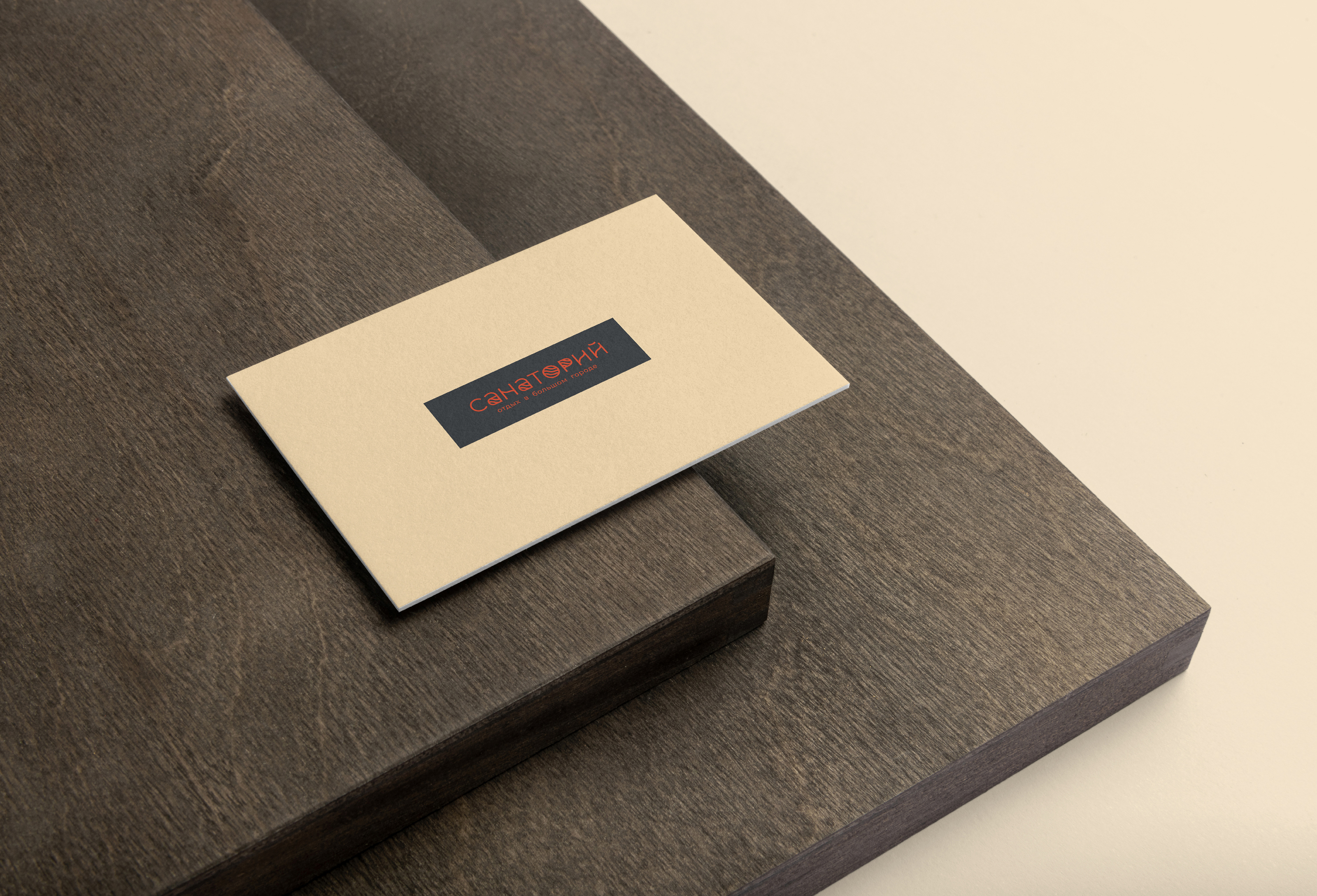 Фирменный стиль Санаторий | Brand Identity Sanatorium — Изображение №11 — Брендинг на Dprofile