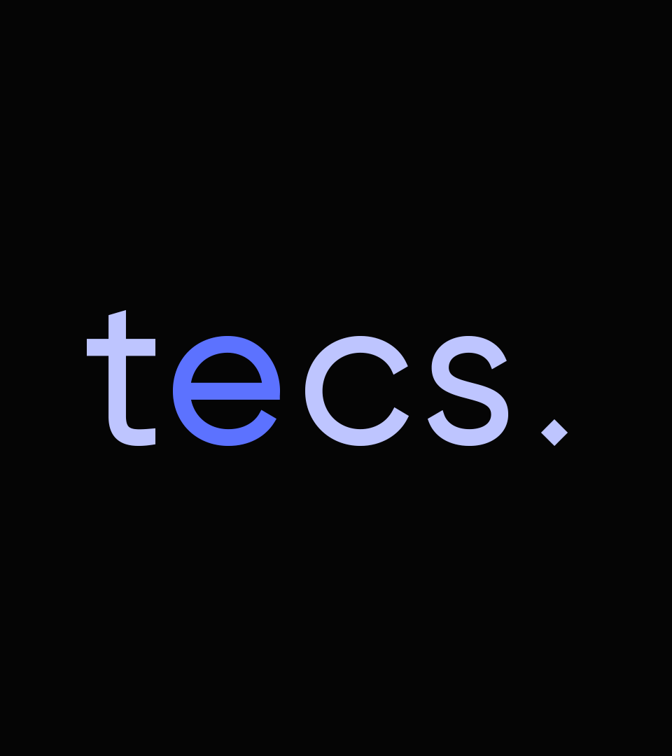tecs brand identity — Изображение №4 — Брендинг, Графика на Dprofile