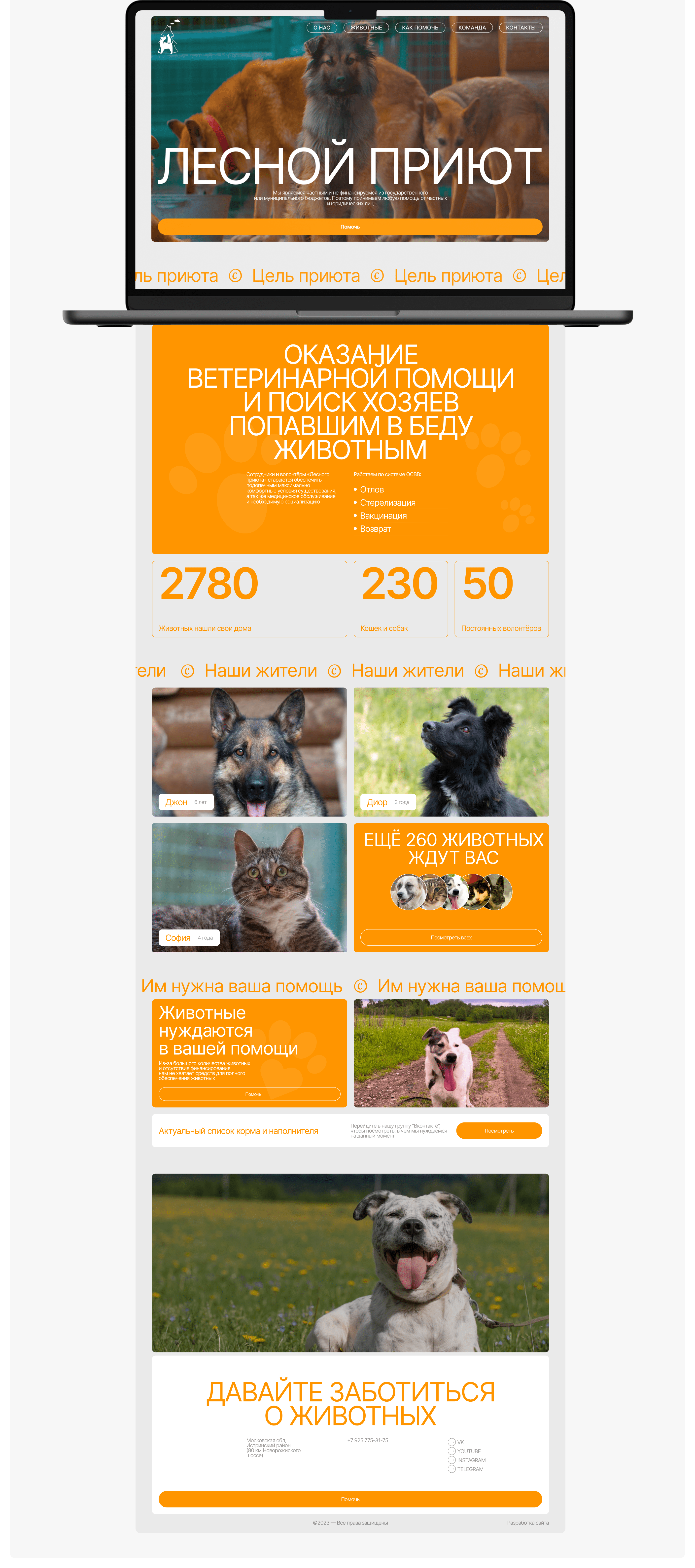 Лесной Приют | Landing Page — Изображение №5 — Интерфейсы, Брендинг на Dprofile