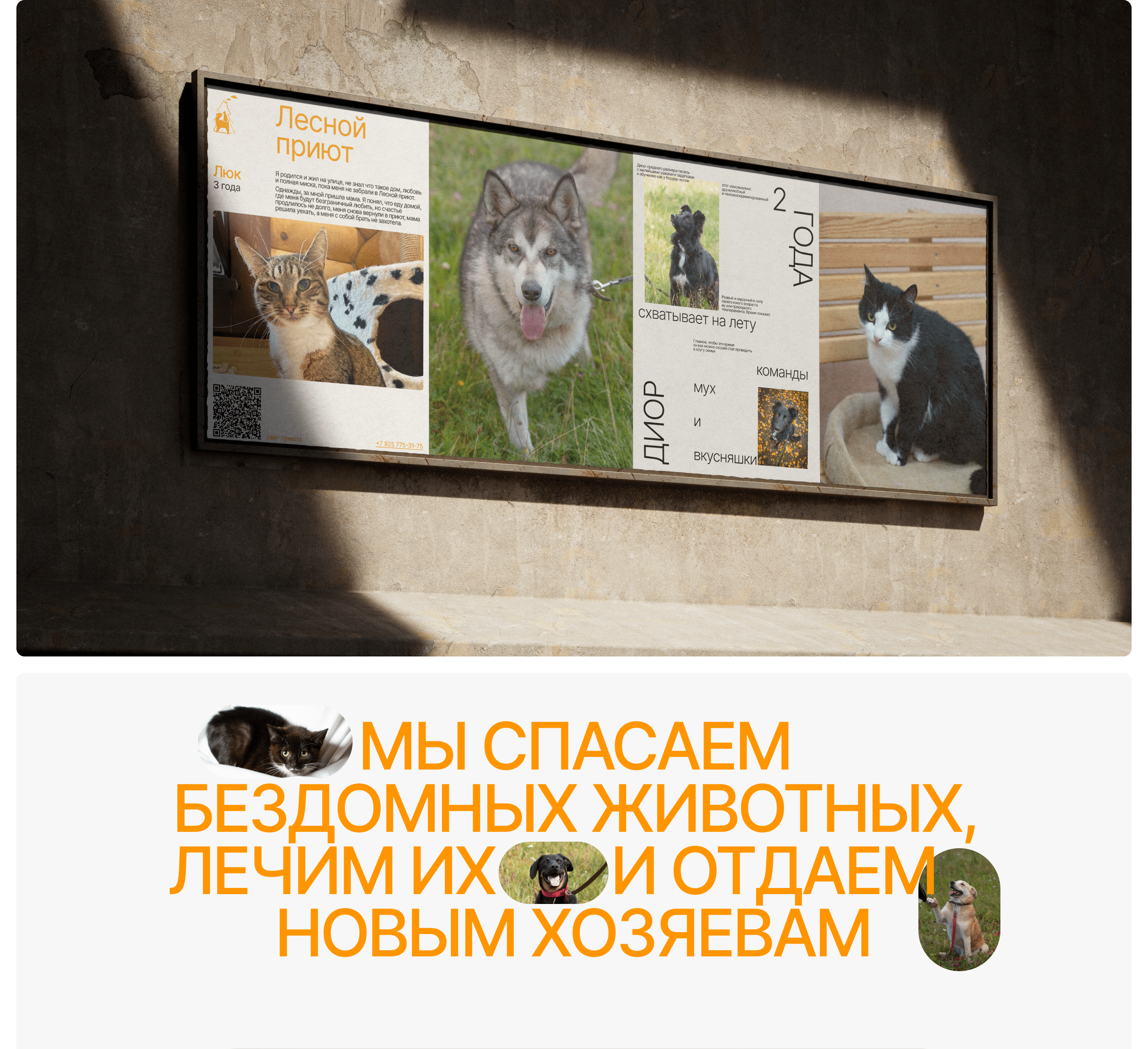 Лесной Приют | Landing Page — Изображение №4 — Интерфейсы, Брендинг на Dprofile