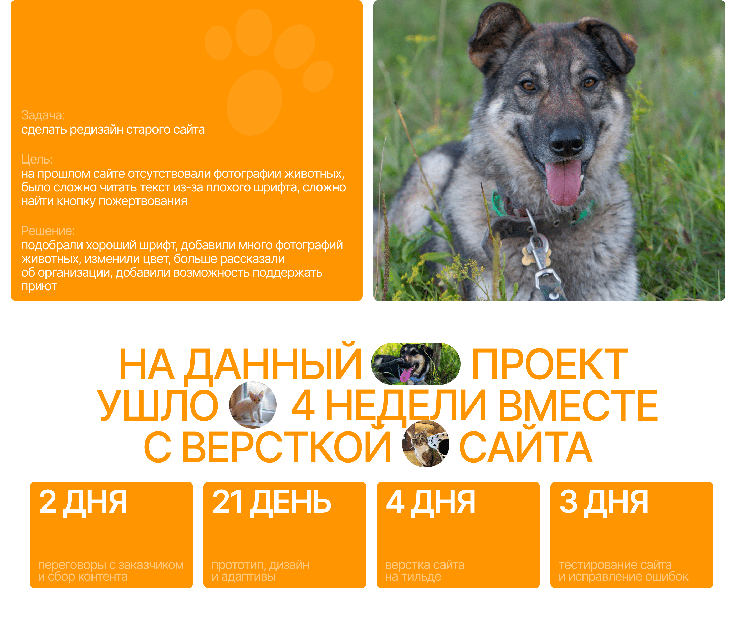 Лесной Приют | Landing Page — Изображение №2 — Интерфейсы, Брендинг на Dprofile