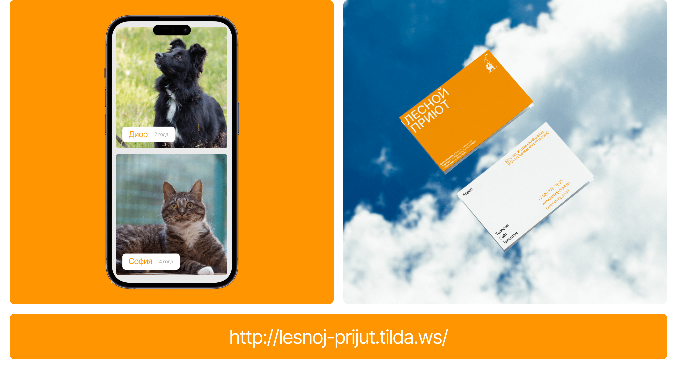 Лесной Приют | Landing Page — Изображение №6 — Интерфейсы, Брендинг на Dprofile