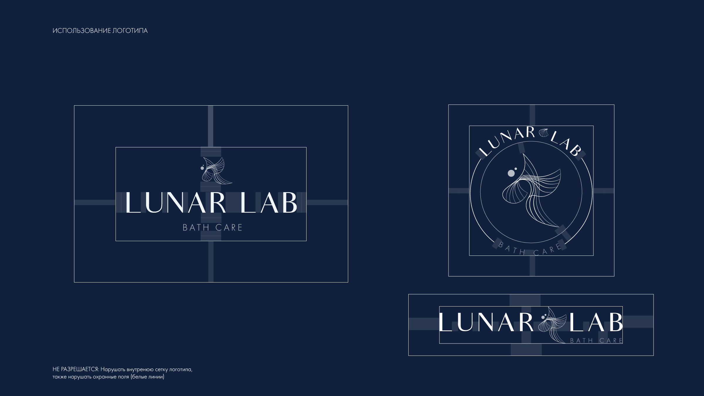Фирменный стиль для Lunar Lab — Изображение №4 — Брендинг, Графика на Dprofile