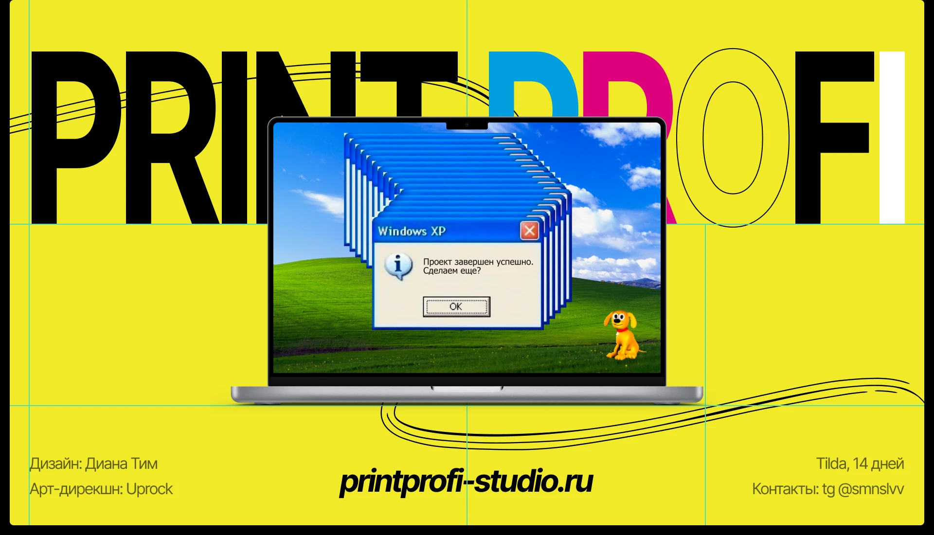 Print Profi | Лендинг на Tilda — Изображение №10 — Интерфейсы, Анимация на Dprofile