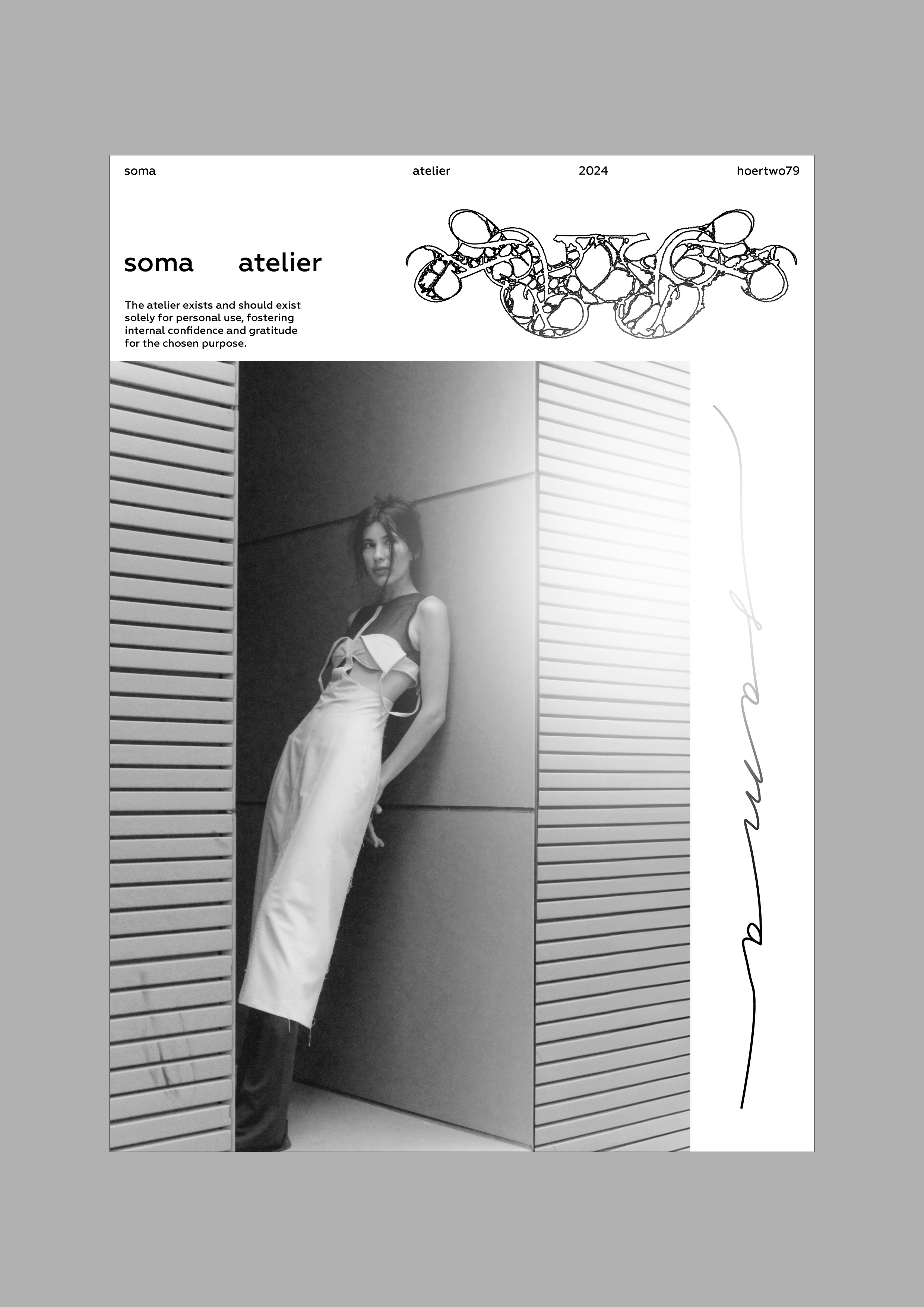 soma logo design — Изображение №2 — Брендинг на Dprofile