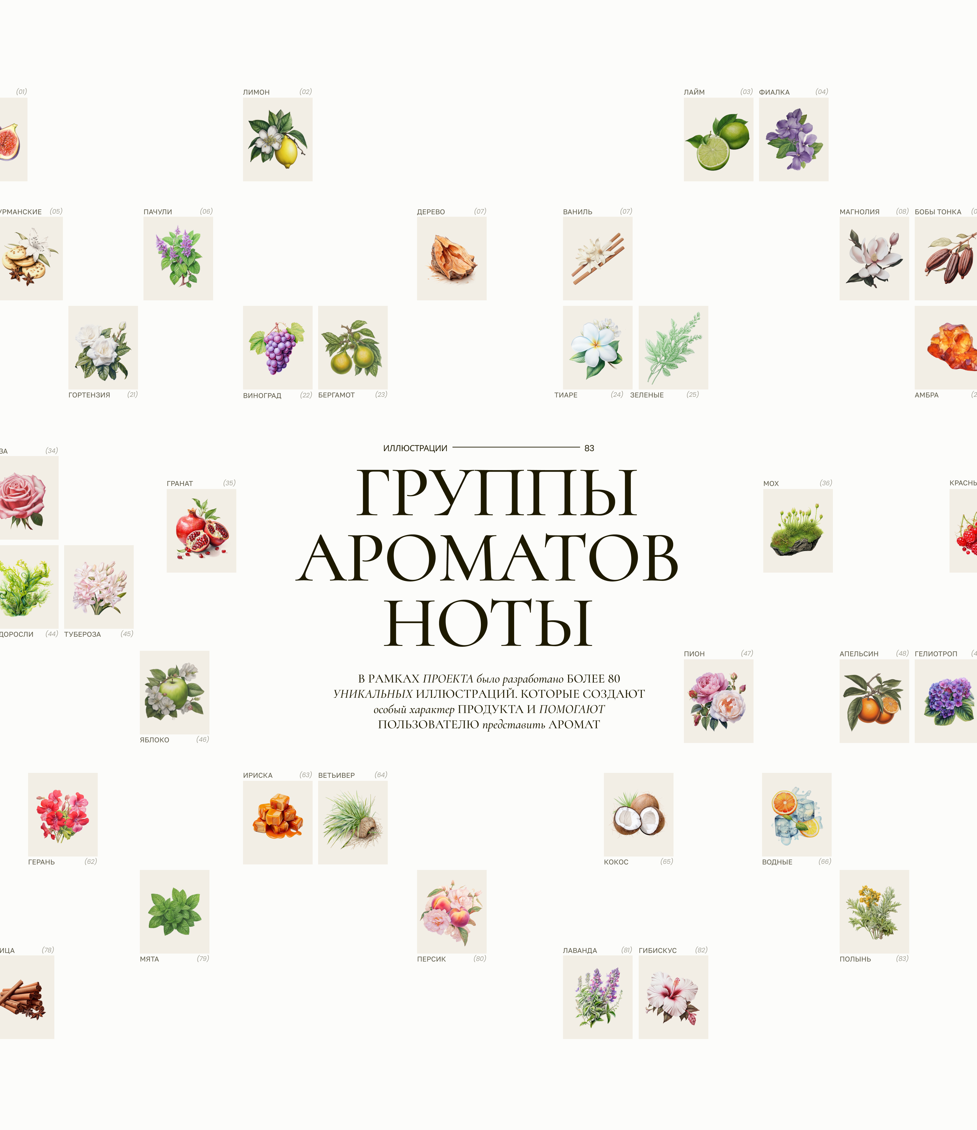 Poemes de Provence | E-Com — Изображение №12 — Интерфейсы, Иллюстрация на Dprofile