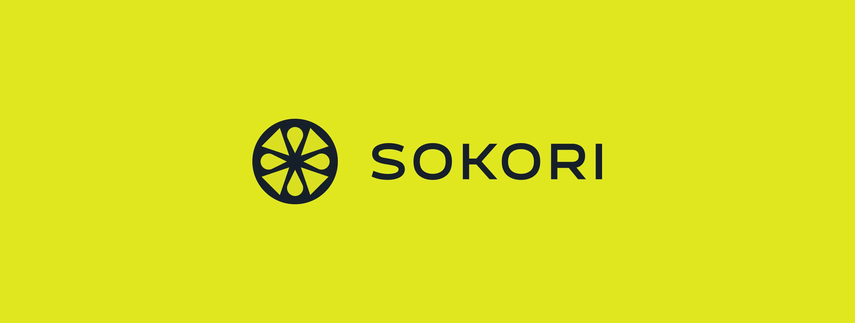 SOKORI  - айдентика для бренда носков — Изображение №2 — Брендинг на Dprofile