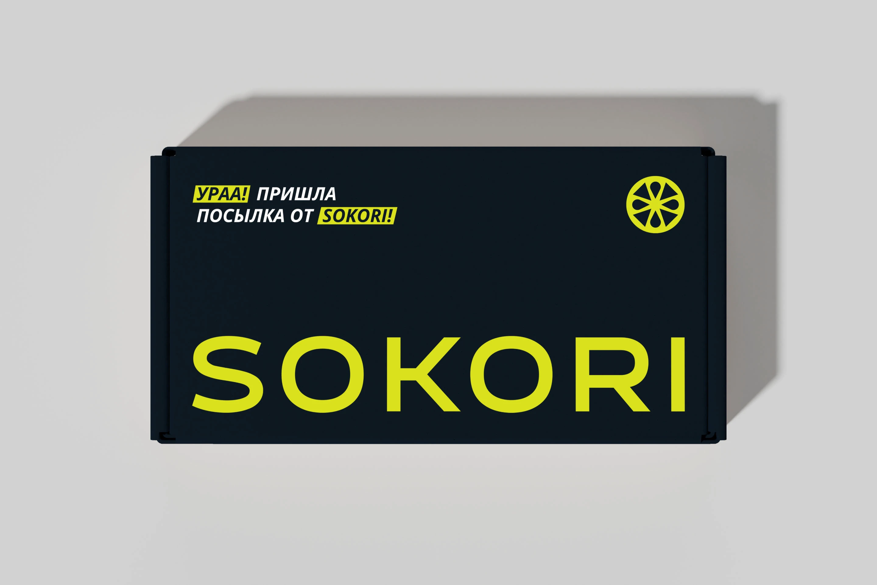 SOKORI  - айдентика для бренда носков — Изображение №7 — Брендинг на Dprofile