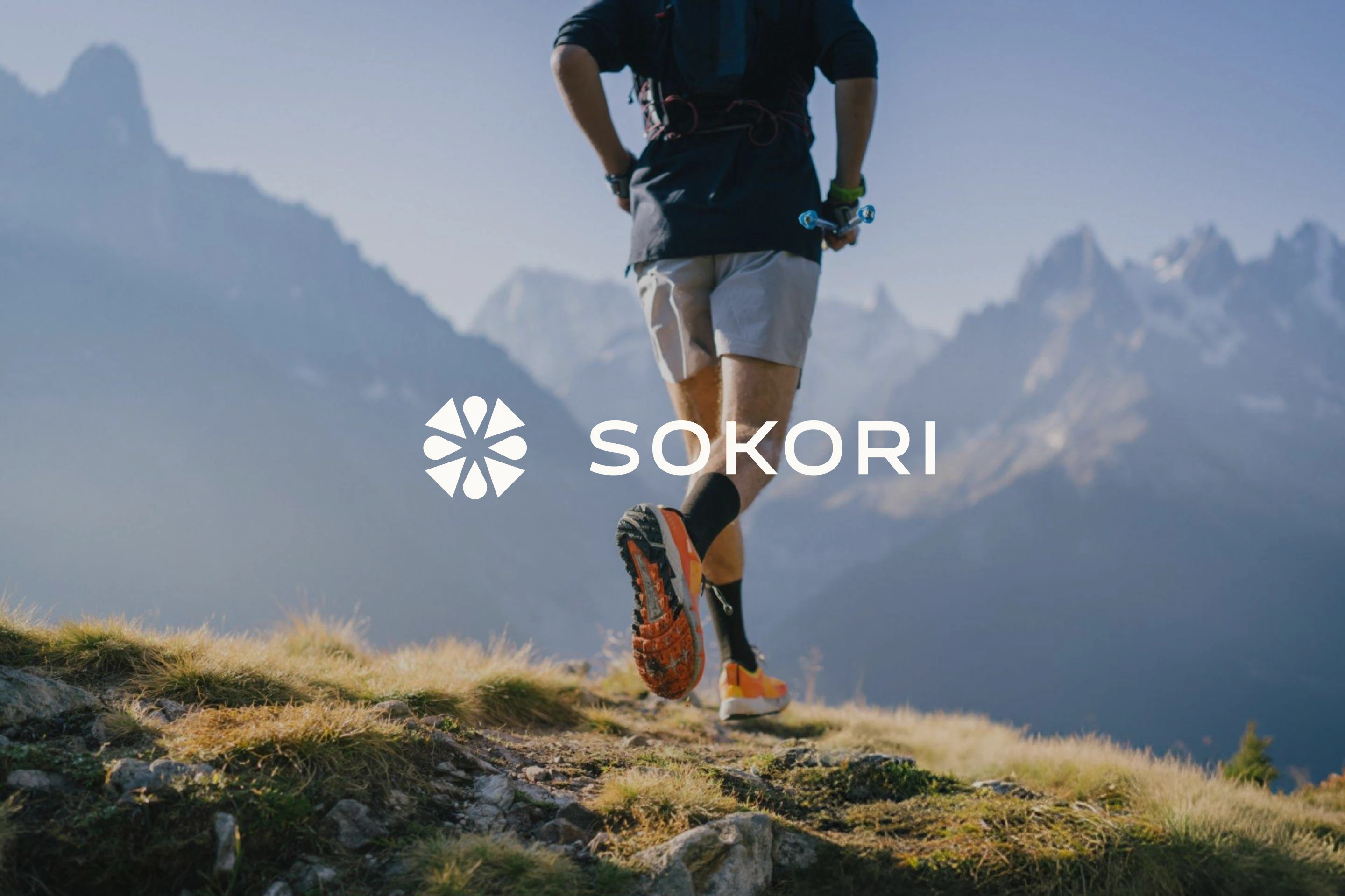SOKORI  - айдентика для бренда носков — Изображение №1 — Брендинг на Dprofile