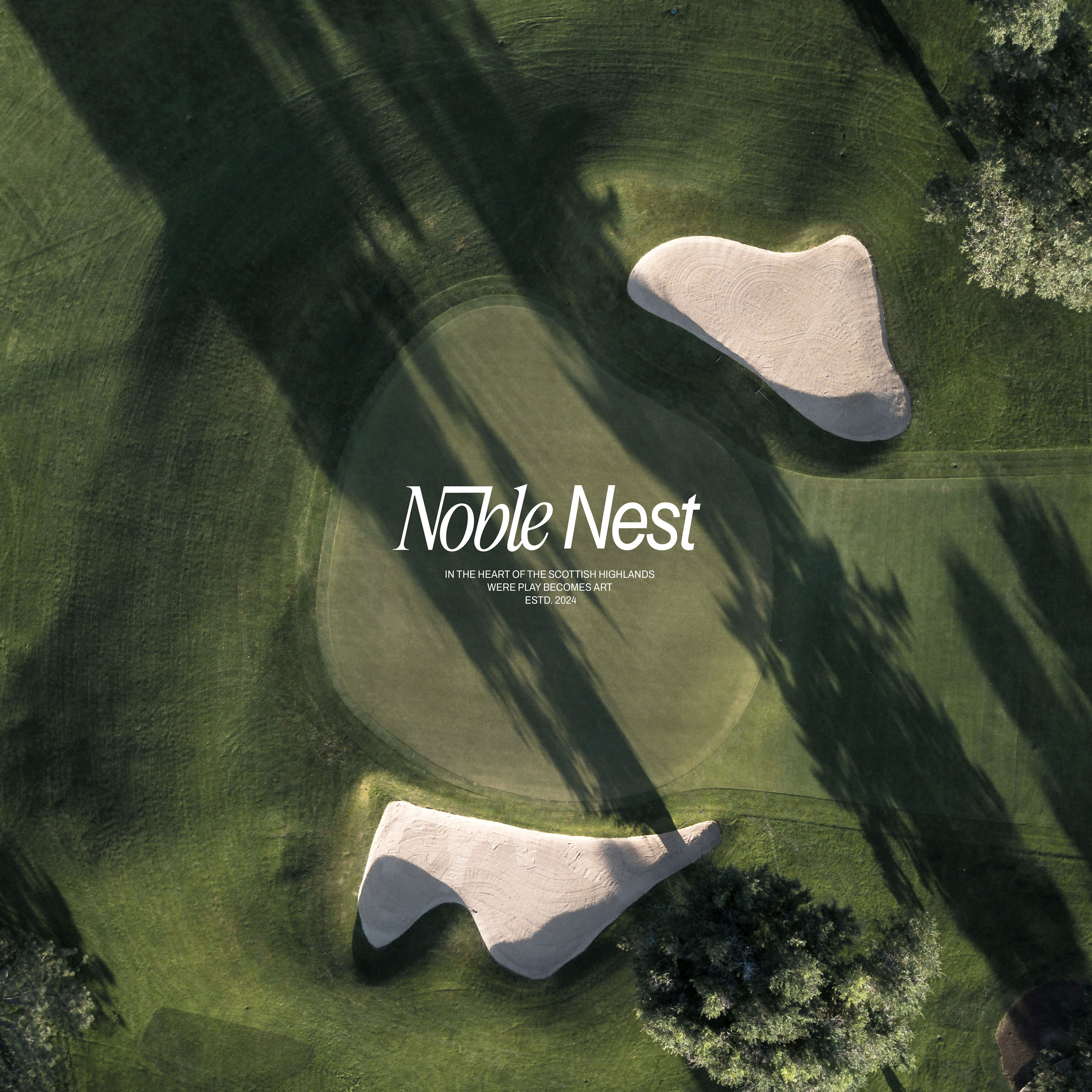 NOBLE NEST - айдентика для гольф клуба — Изображение №1 — Брендинг, Графика на Dprofile