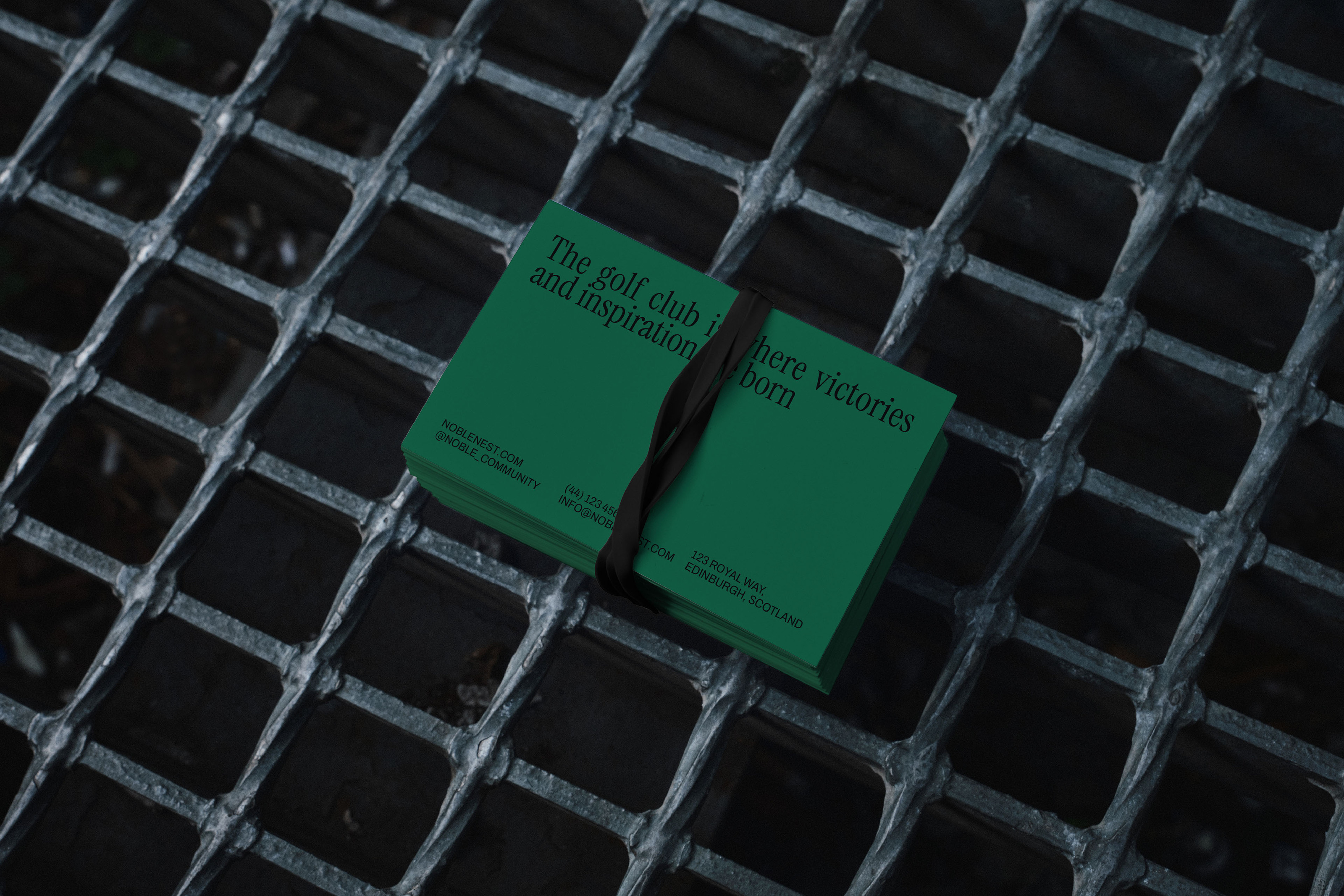 NOBLE NEST - айдентика для гольф клуба — Изображение №16 — Брендинг, Графика на Dprofile