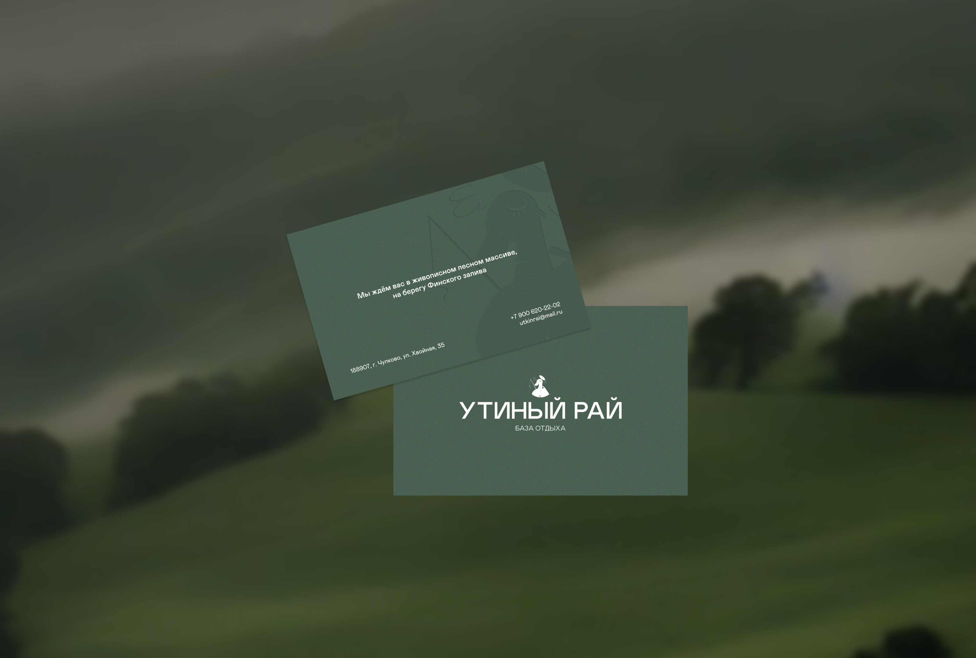 Утиный рай — Изображение №9 — Брендинг, Иллюстрация на Dprofile