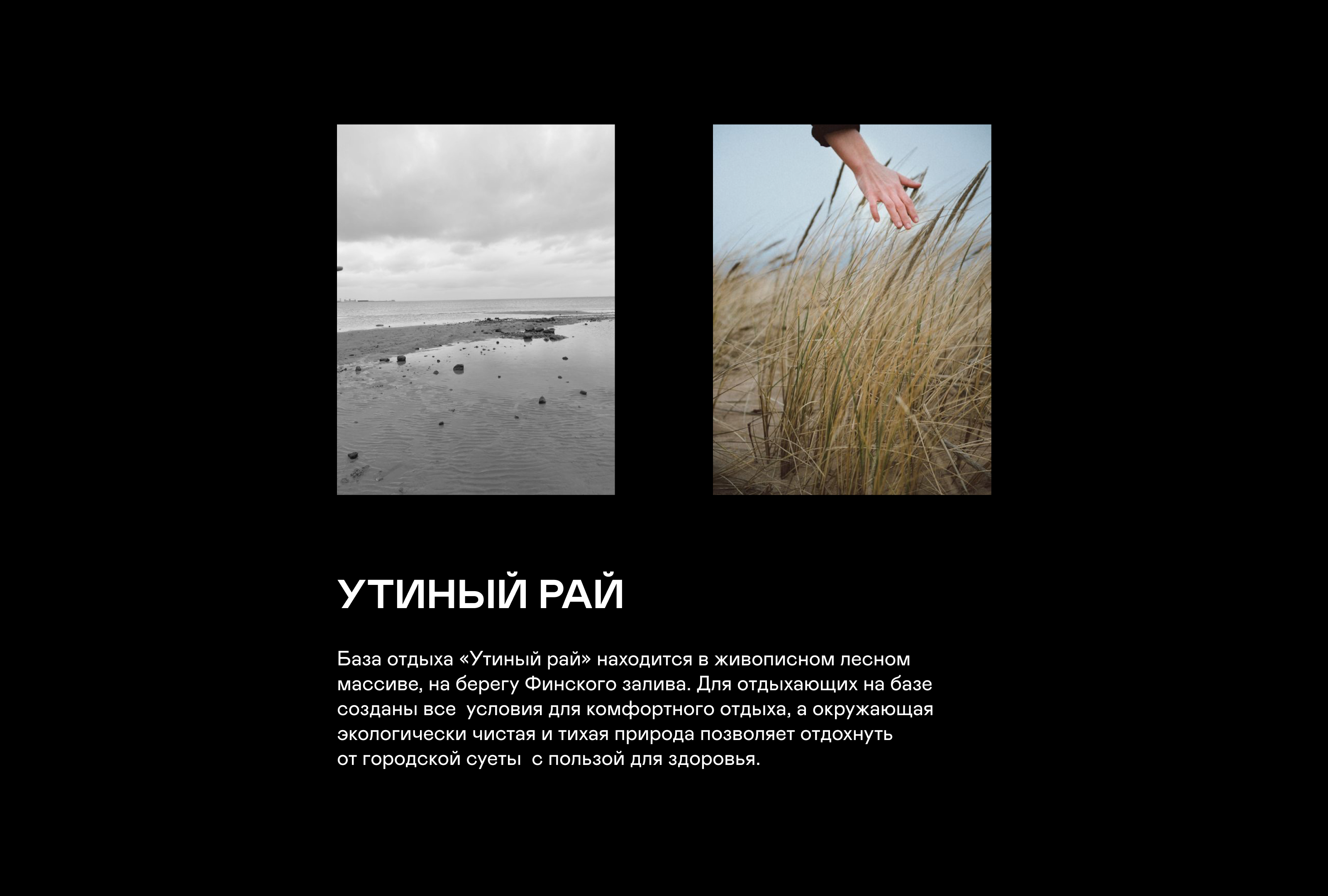 Утиный рай — Изображение №2 — Брендинг, Иллюстрация на Dprofile