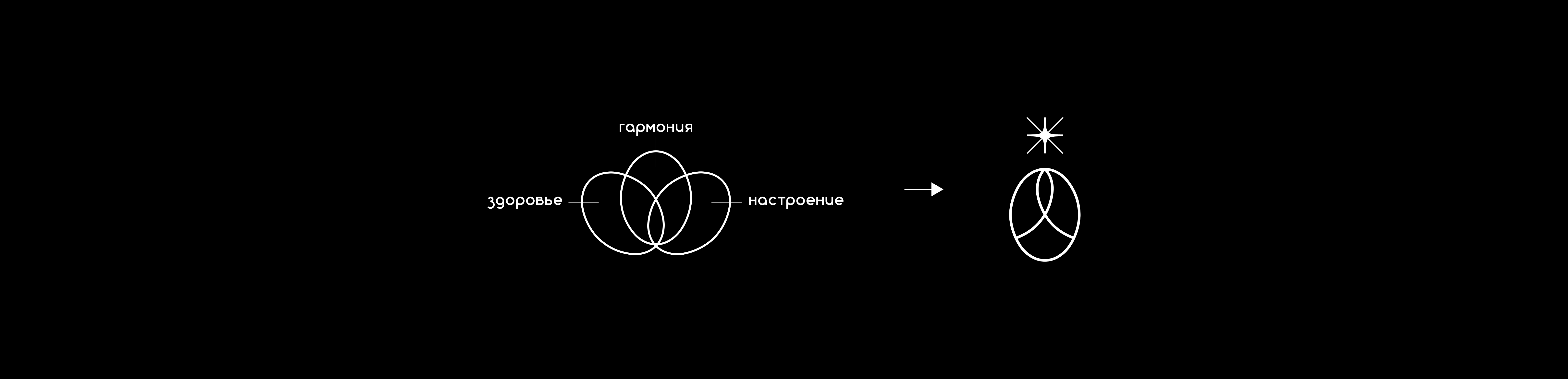 KOD369 Branding — Изображение №3 — Брендинг, Графика на Dprofile
