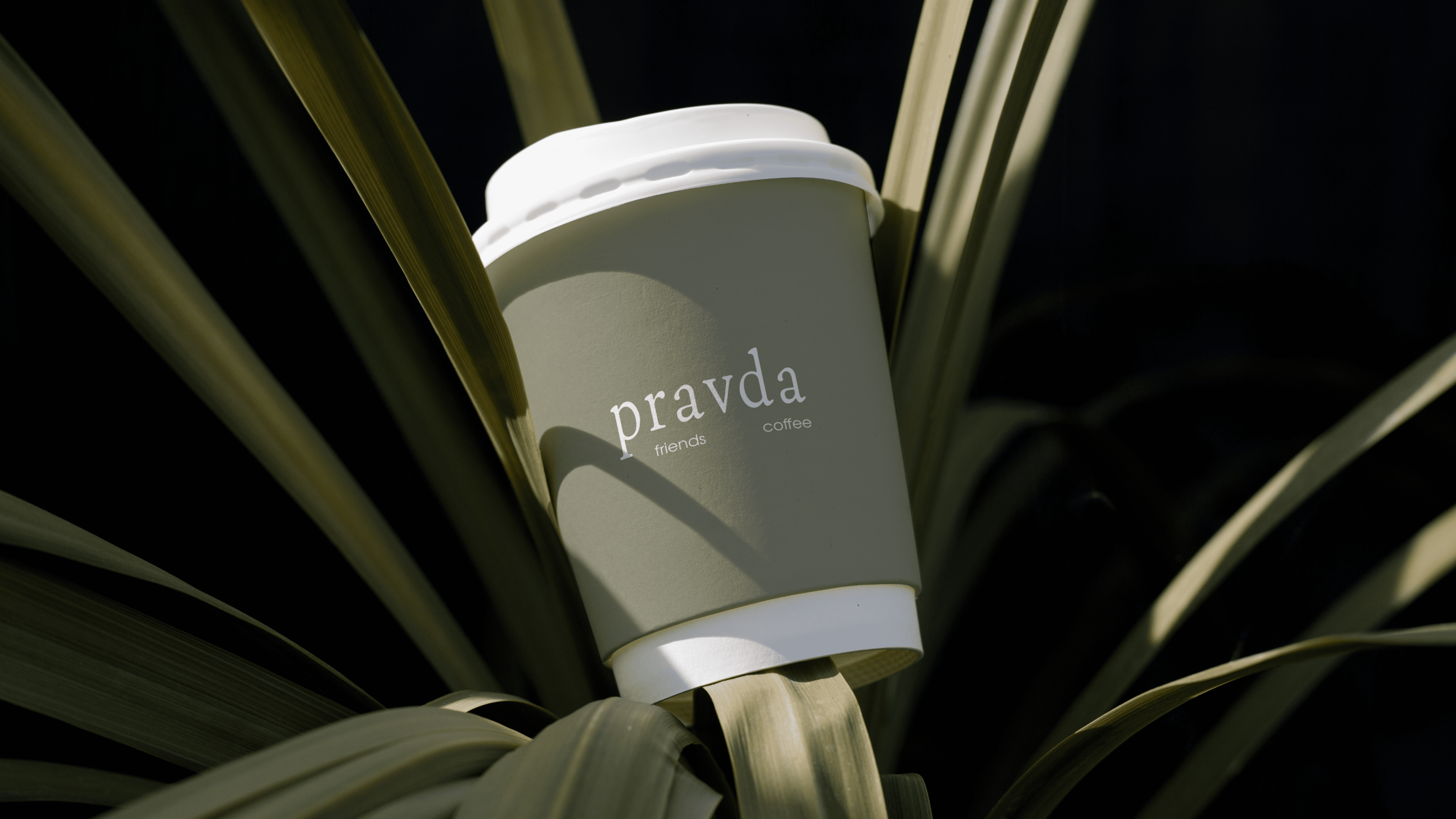 Pravda | Brand Identity — Изображение №1 — Брендинг, Иллюстрация на Dprofile