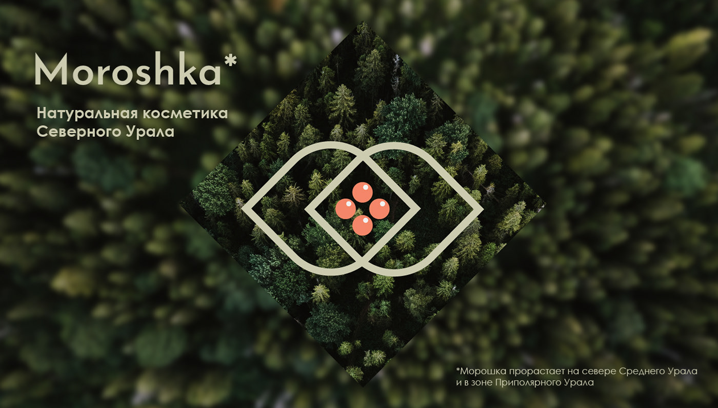 Moroshka | Identity — Изображение №8 — Брендинг, Графика на Dprofile