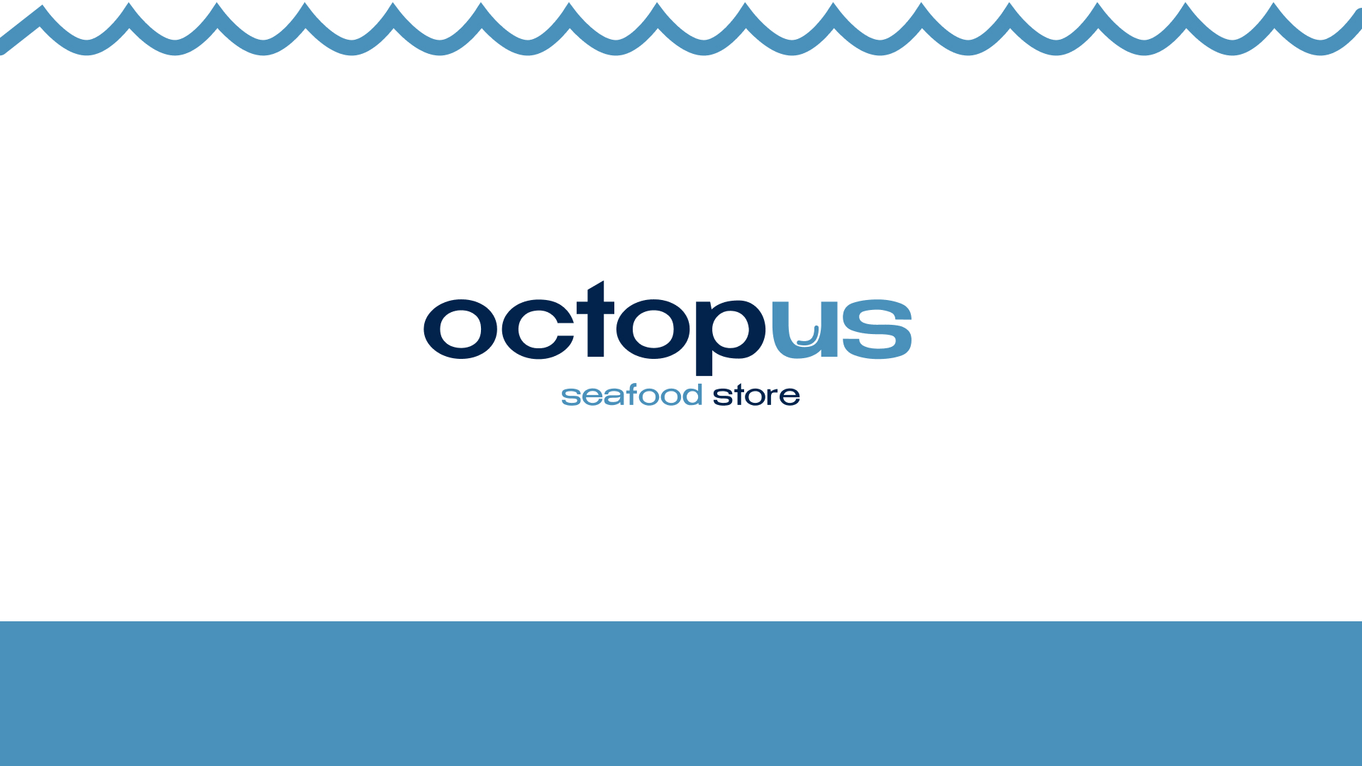 Octopus | ФИРМЕННЫЙ СТИЛЬ — Изображение №1 — Брендинг на Dprofile