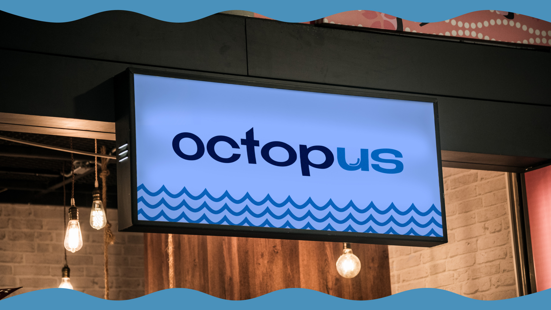 Octopus | ФИРМЕННЫЙ СТИЛЬ — Изображение №2 — Брендинг на Dprofile