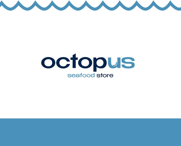 Octopus | ФИРМЕННЫЙ СТИЛЬ — Брендинг на Dprofile
