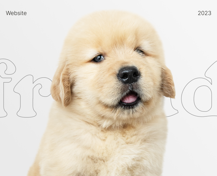 Website FRIEND — Интерфейсы, Брендинг на Dprofile