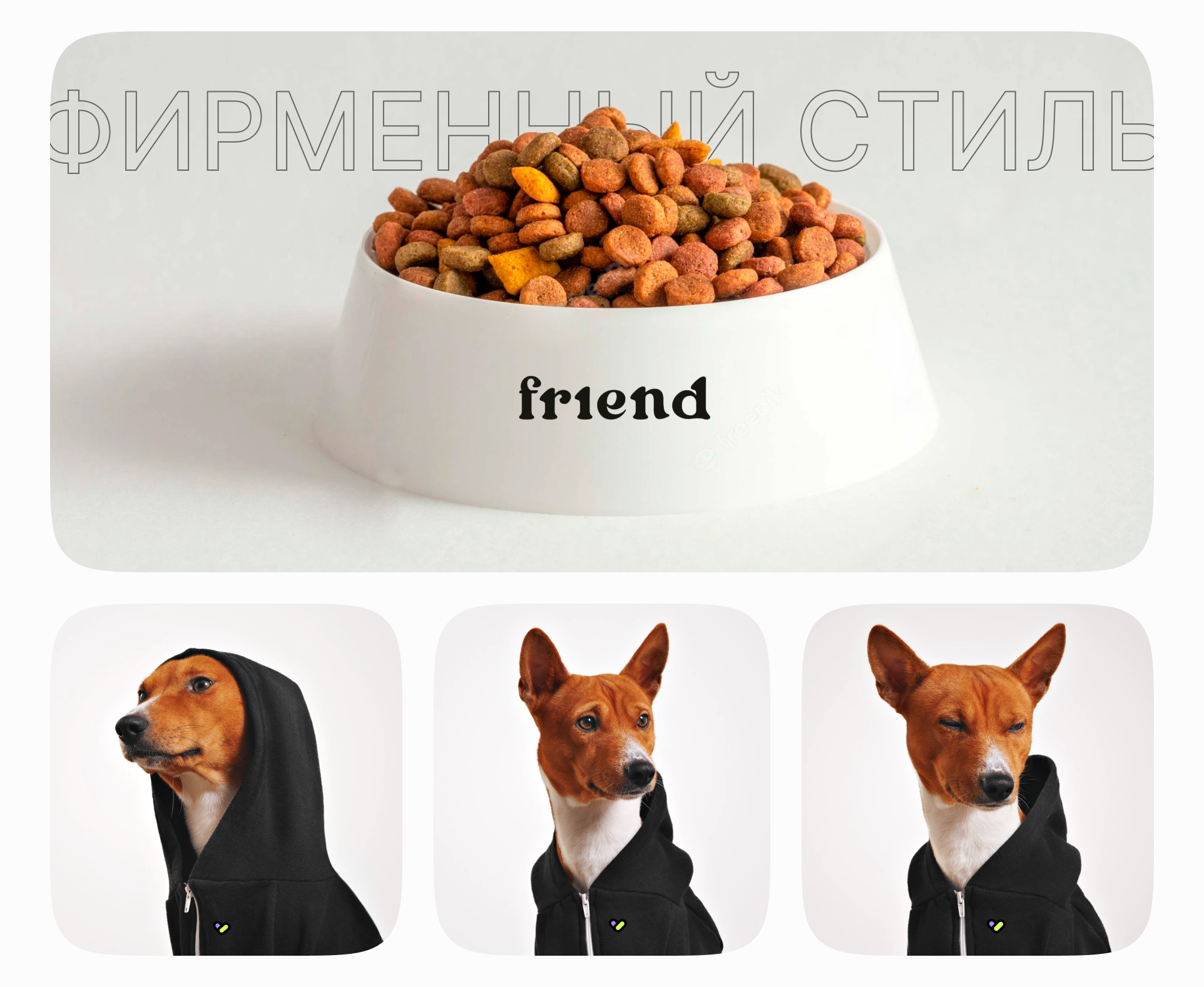Website FRIEND — Изображение №6 — Интерфейсы, Брендинг на Dprofile