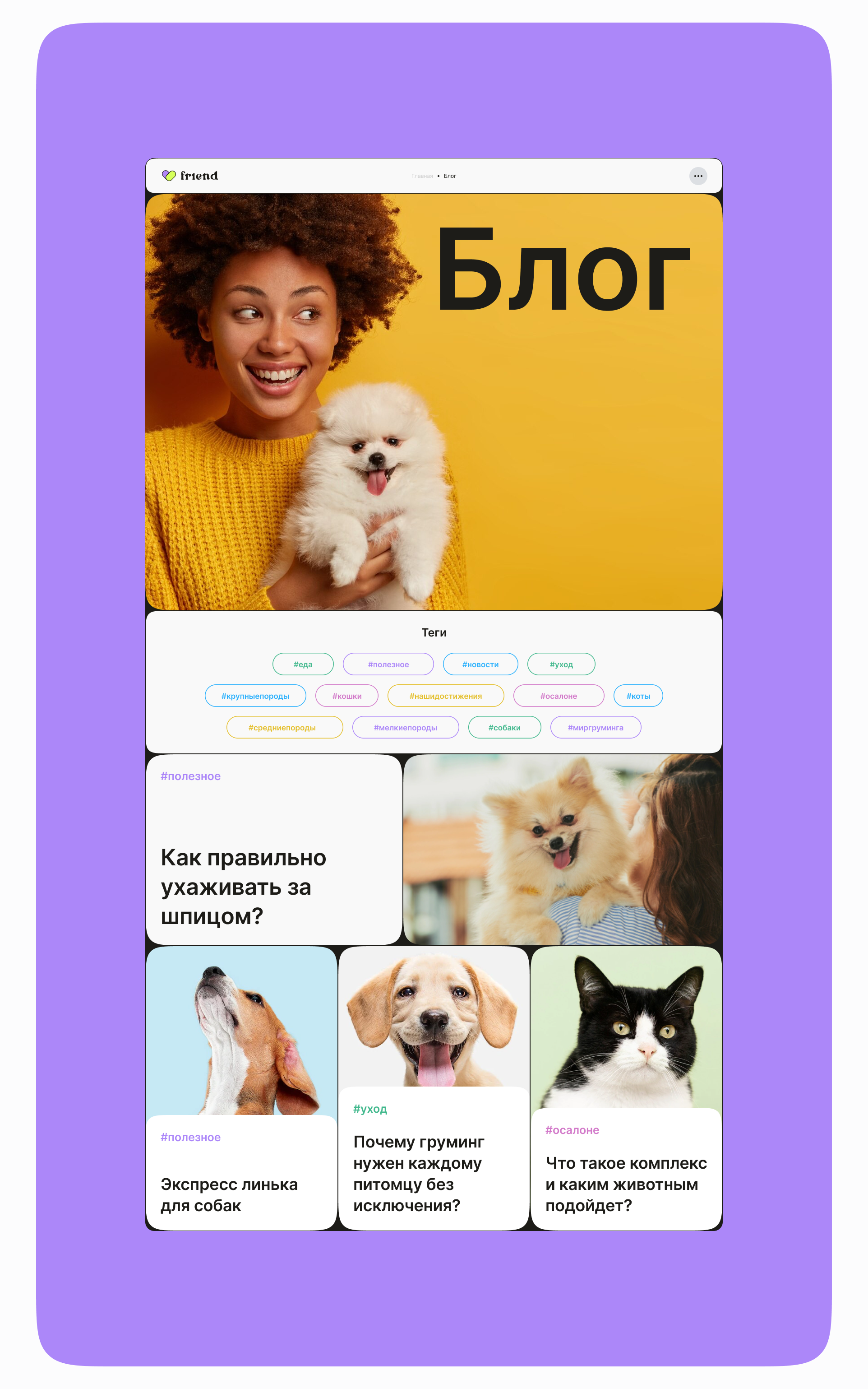 Website FRIEND — Изображение №13 — Интерфейсы, Брендинг на Dprofile