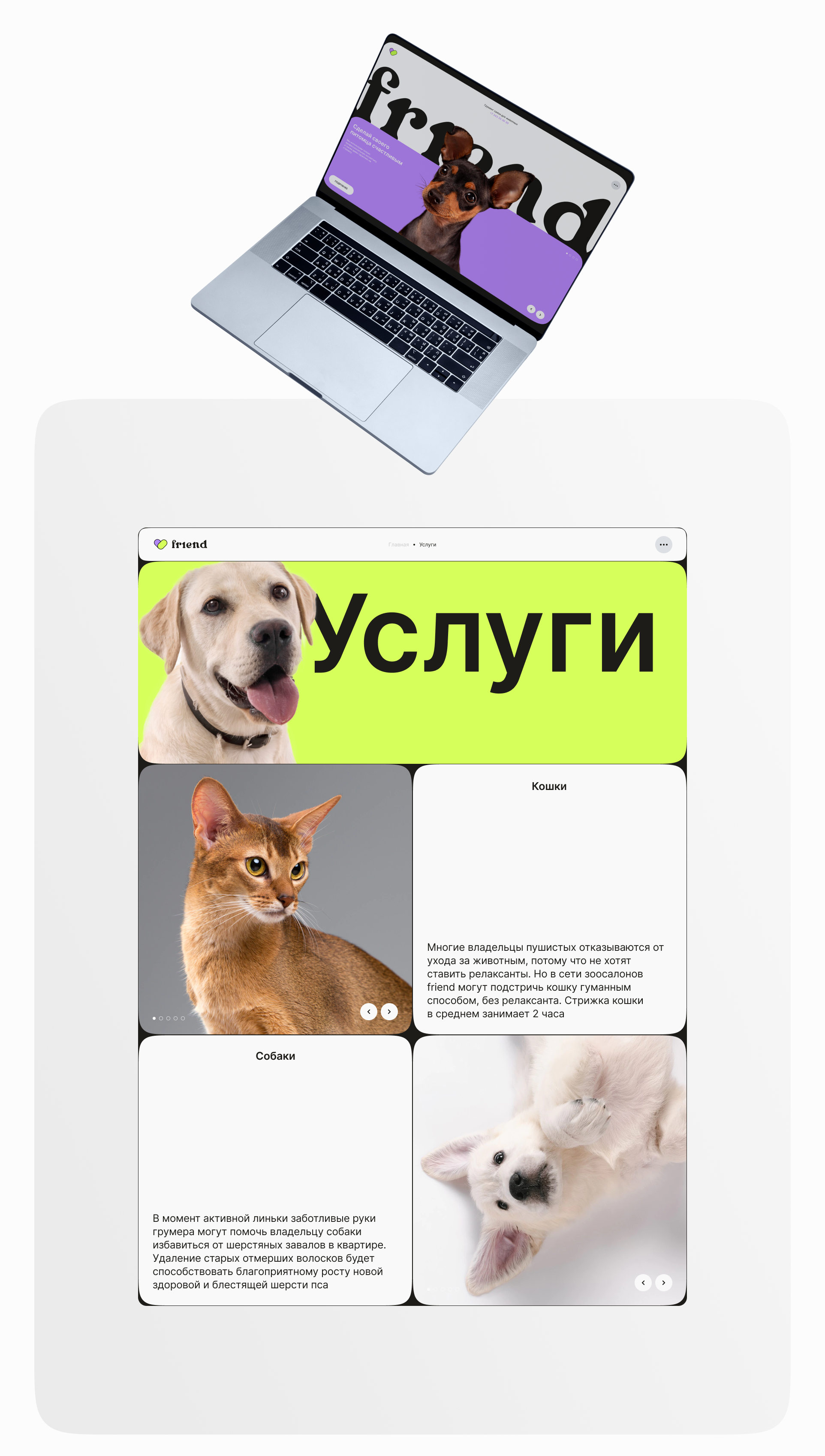 Website FRIEND — Изображение №12 — Интерфейсы, Брендинг на Dprofile