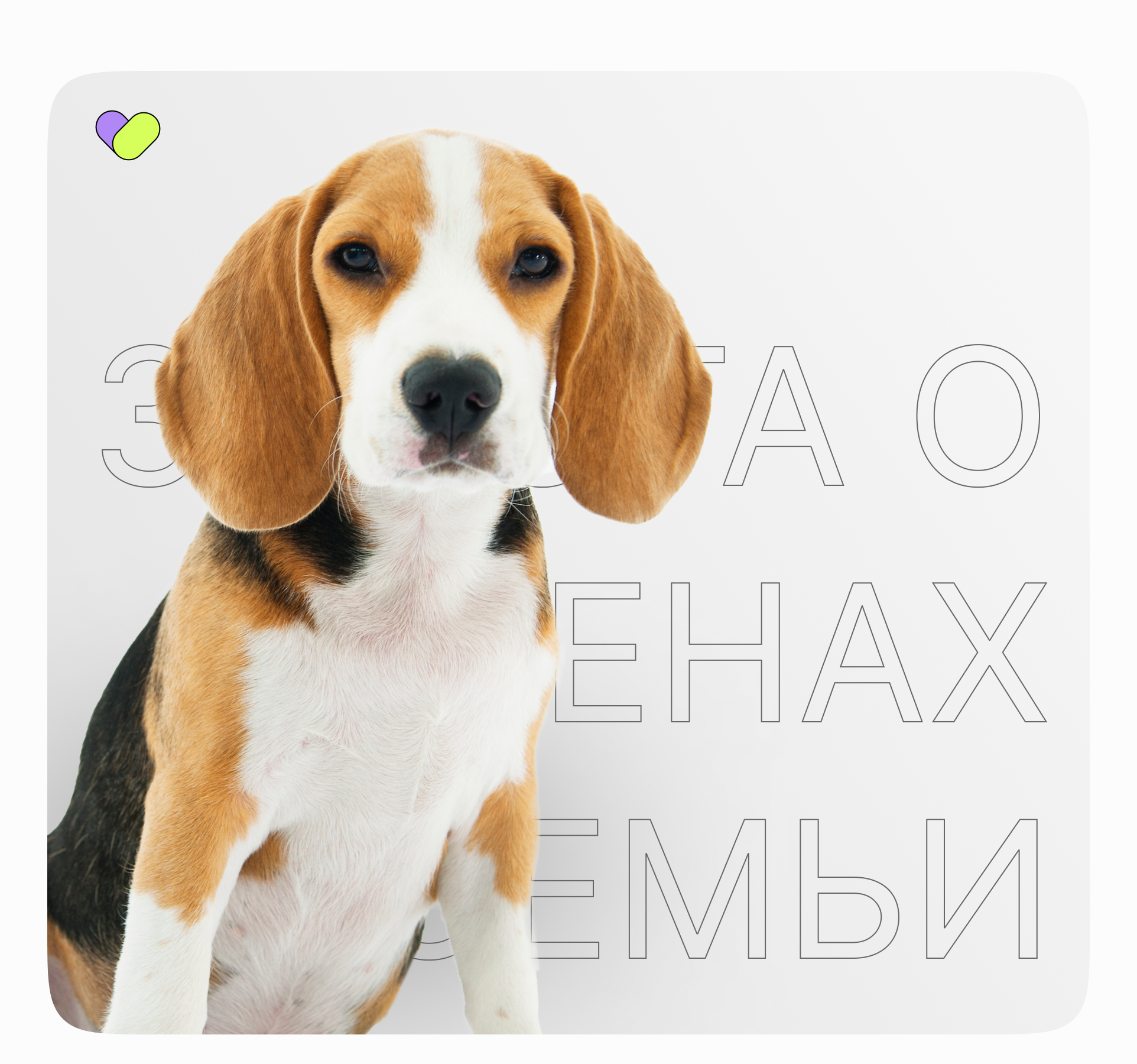 Website FRIEND — Изображение №1 — Интерфейсы, Брендинг на Dprofile