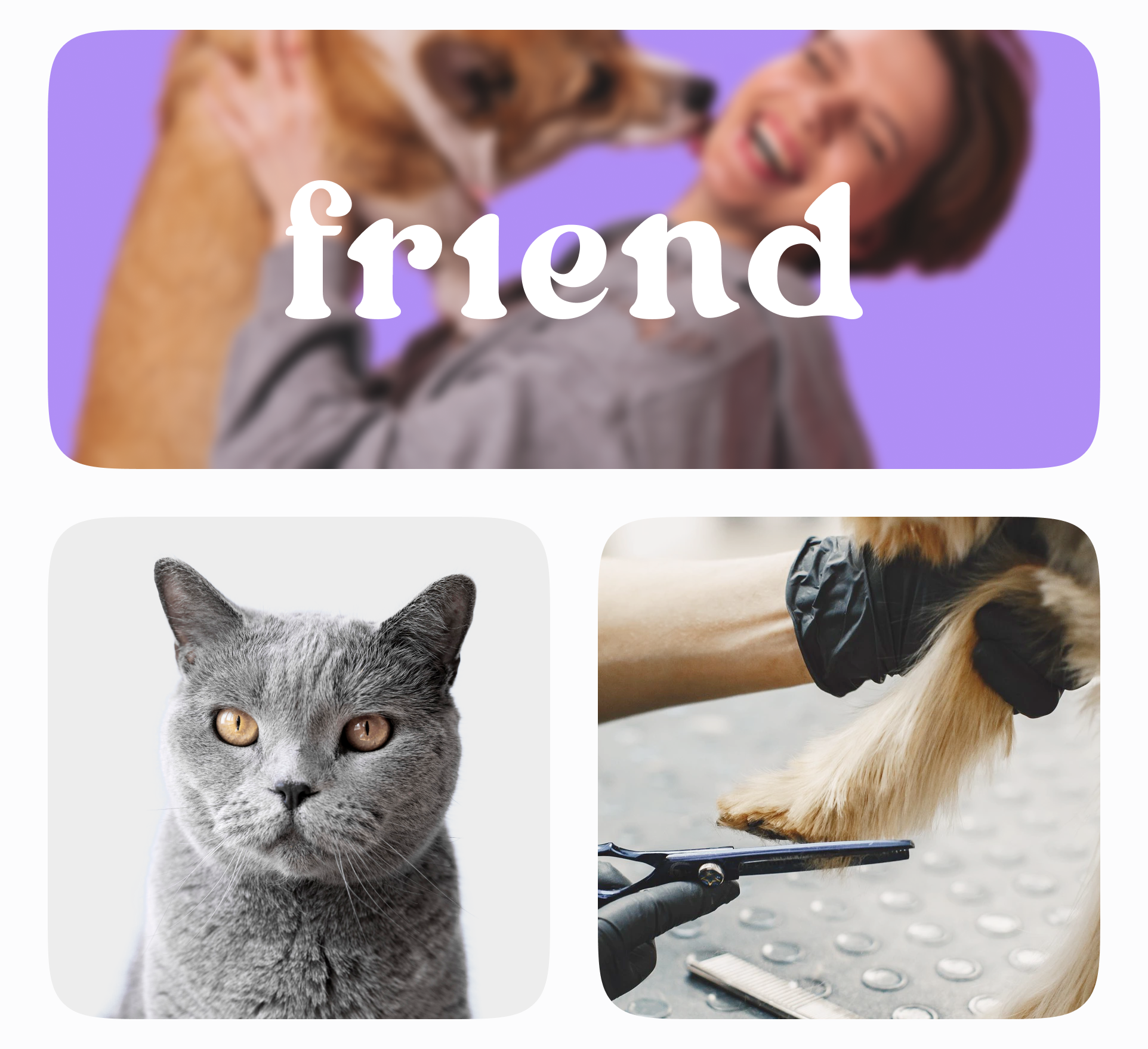 Website FRIEND — Изображение №2 — Интерфейсы, Брендинг на Dprofile
