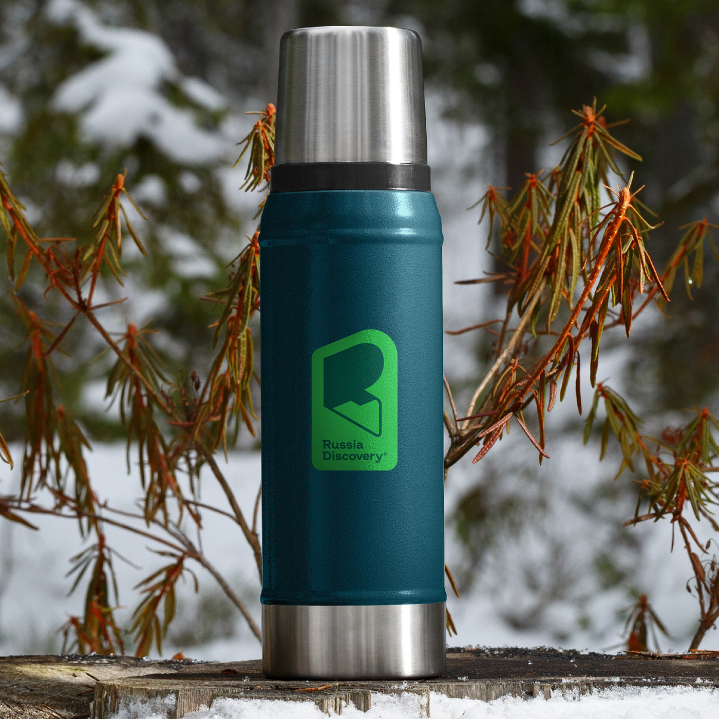 RussiaDiscovery — Изображение №26 — Брендинг, Графика на Dprofile