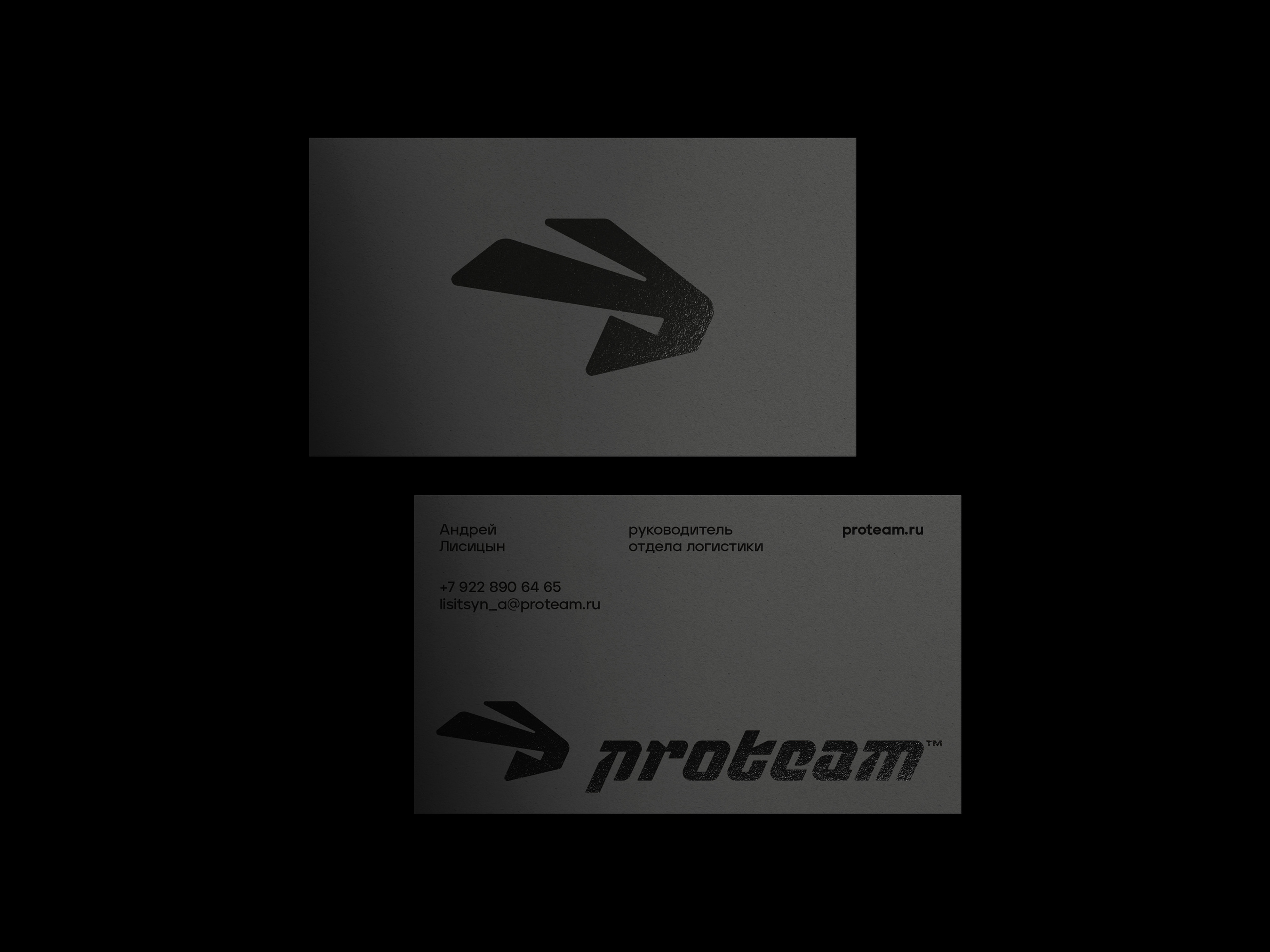 Proteam — Изображение №9 — Брендинг, Графика на Dprofile