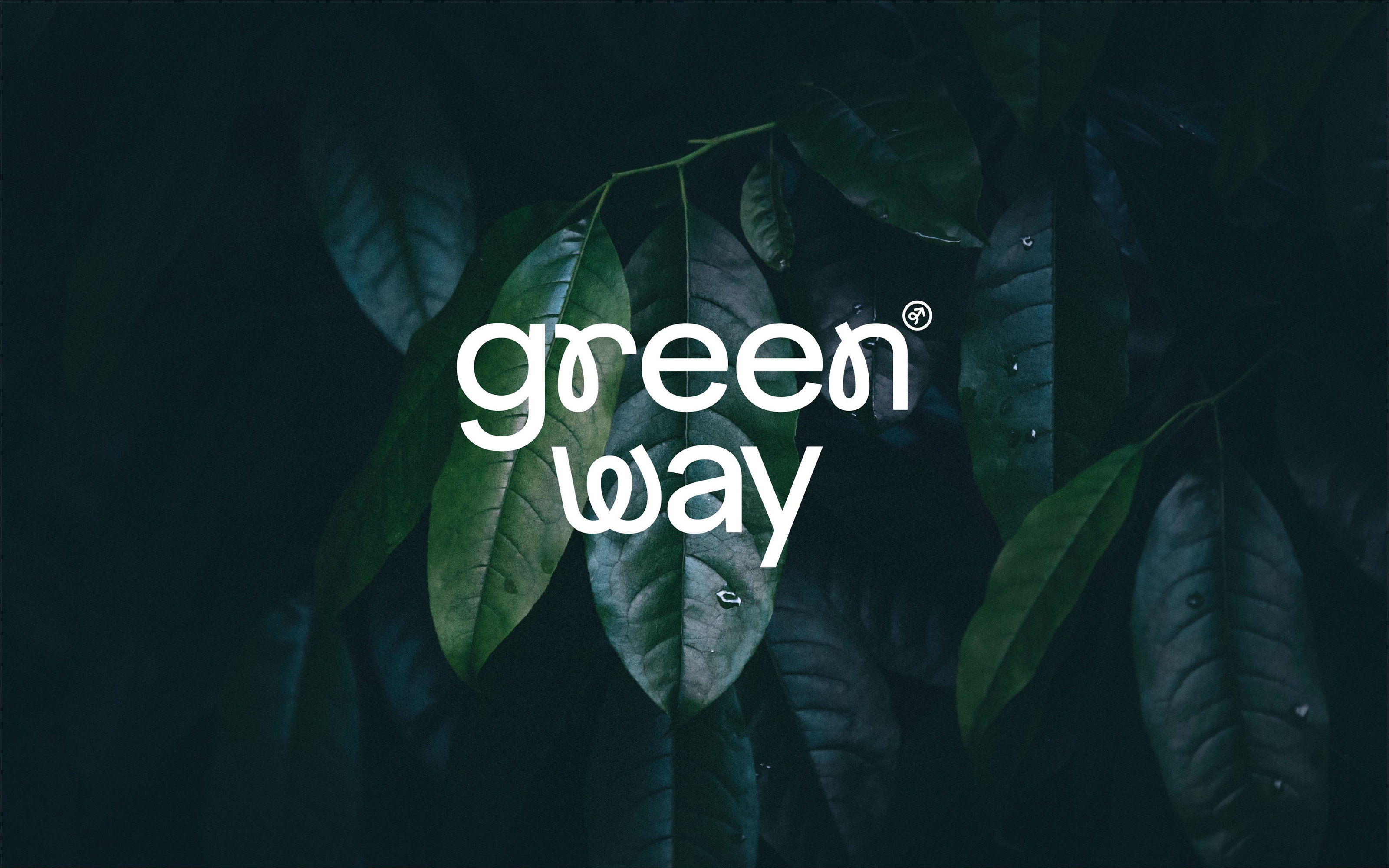 Green way — Изображение №1 — Брендинг, Графика на Dprofile