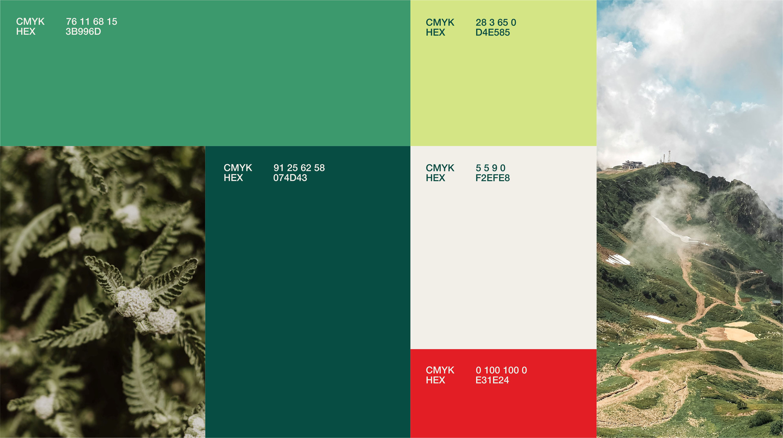 Green way — Изображение №5 — Брендинг, Графика на Dprofile