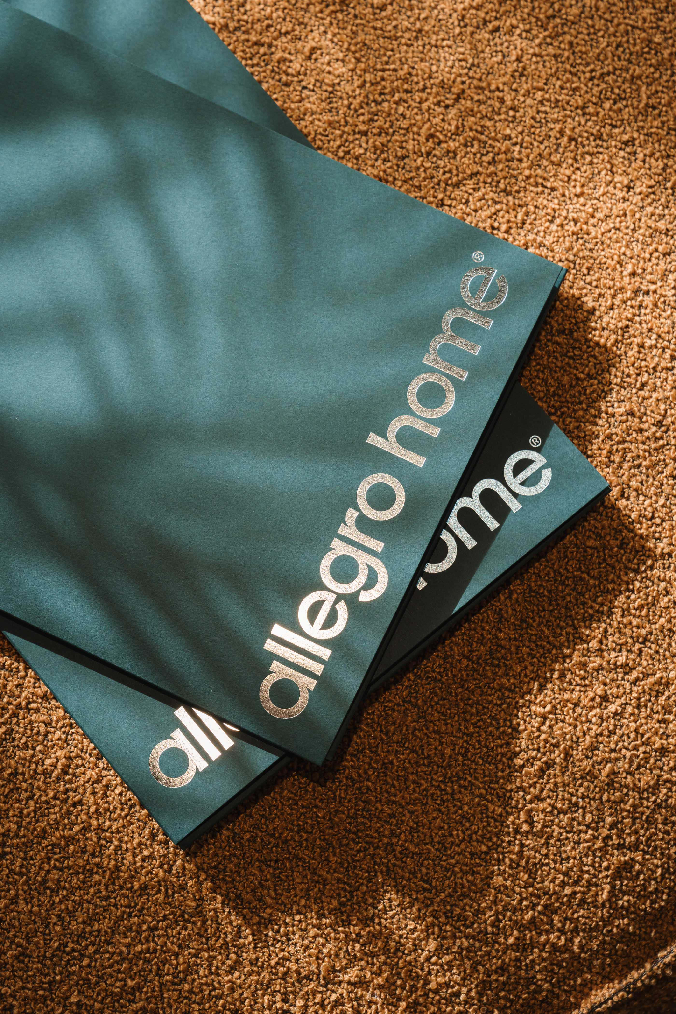 Allegro Home — Изображение №25 — Брендинг, Графика на Dprofile