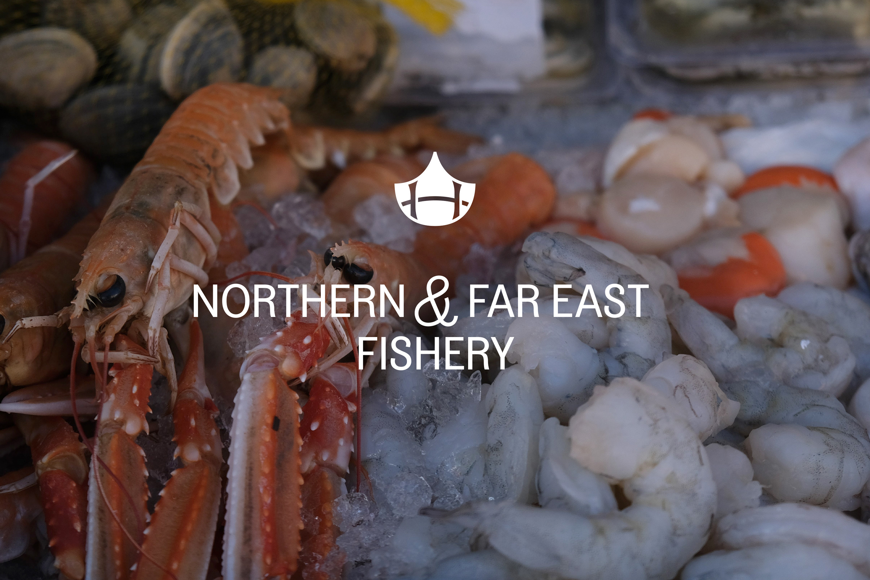 Nahodka Fish Store — Изображение №15 — Брендинг на Dprofile