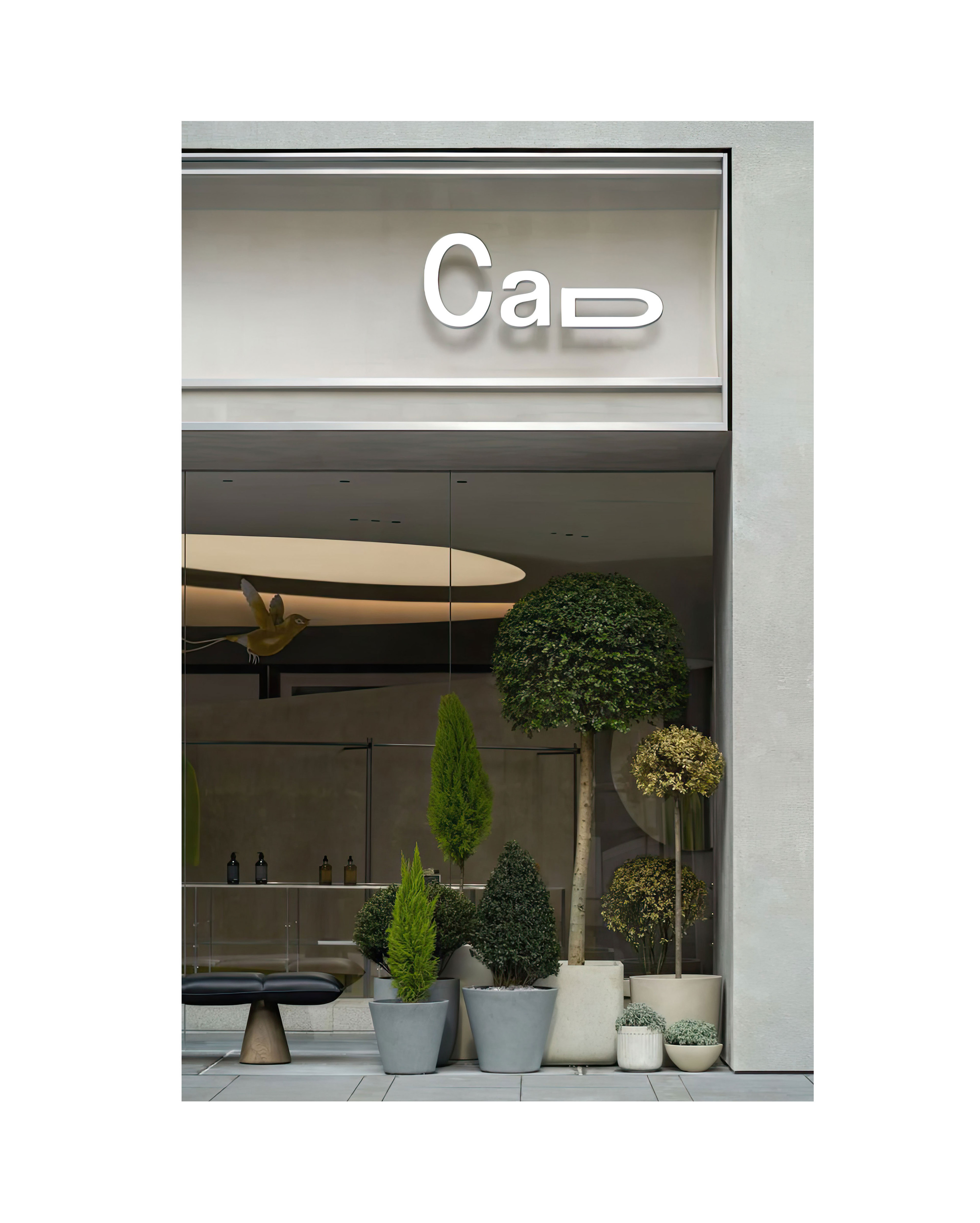 Cafe Cad — Изображение №9 — Брендинг, Иллюстрация на Dprofile