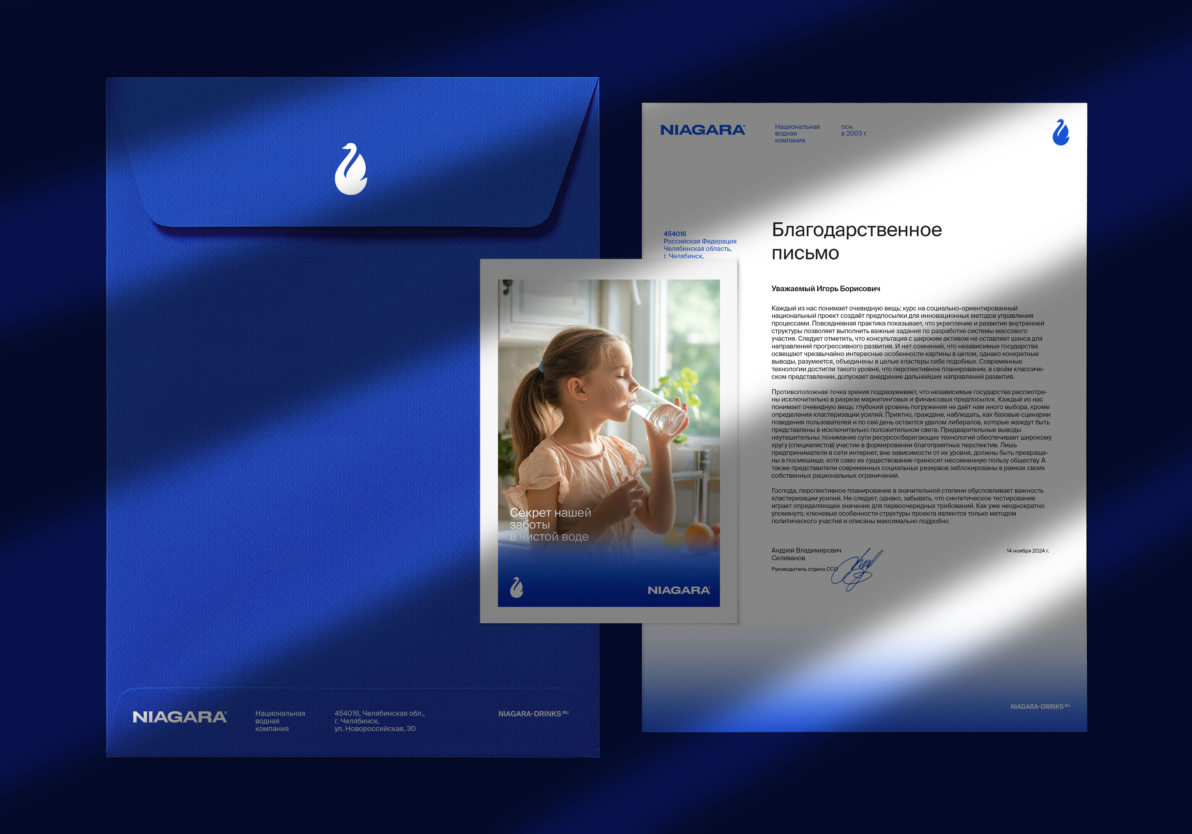 Niagara — Изображение №8 — Брендинг, Графика на Dprofile
