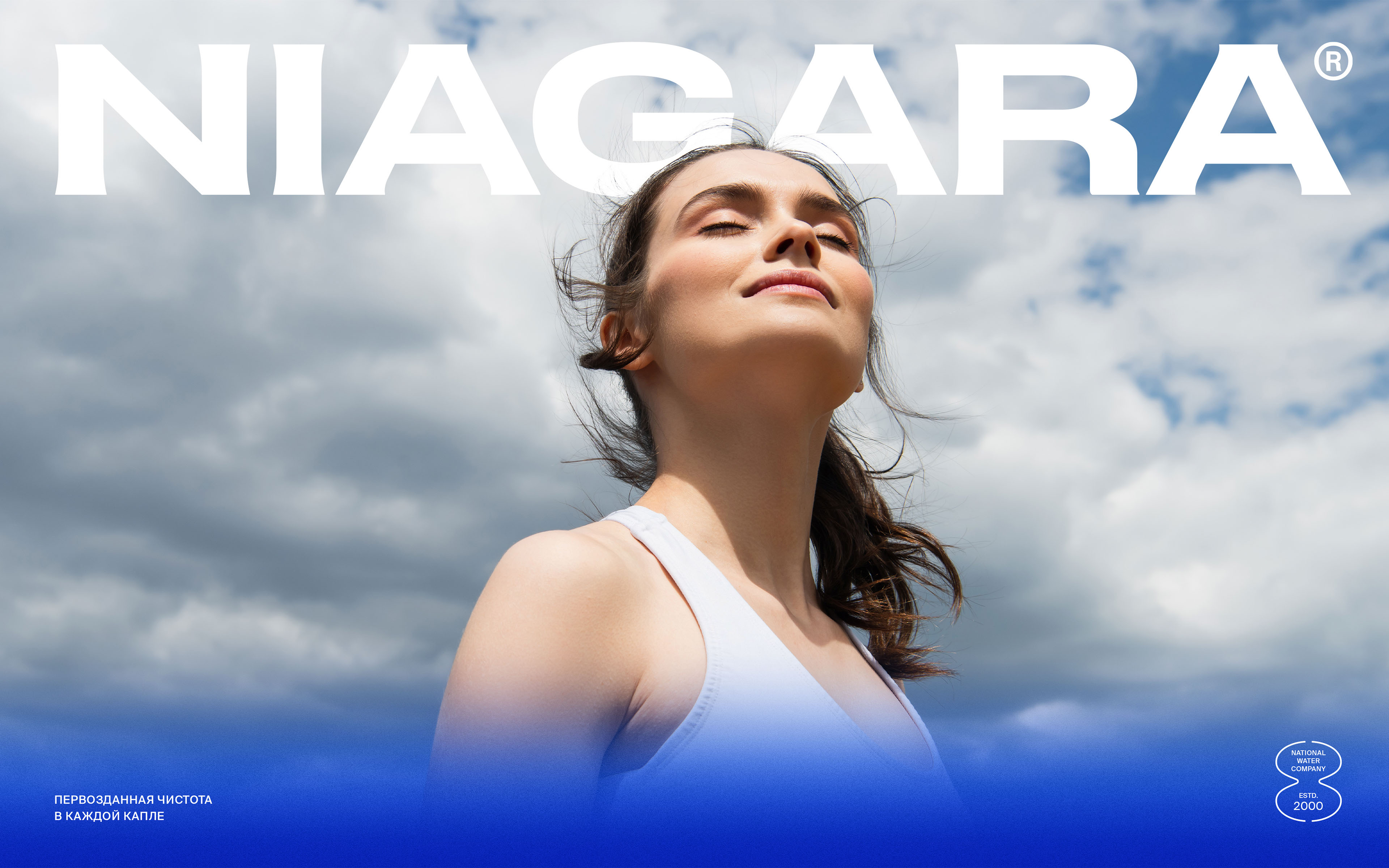 Niagara — Изображение №24 — Брендинг, Графика на Dprofile